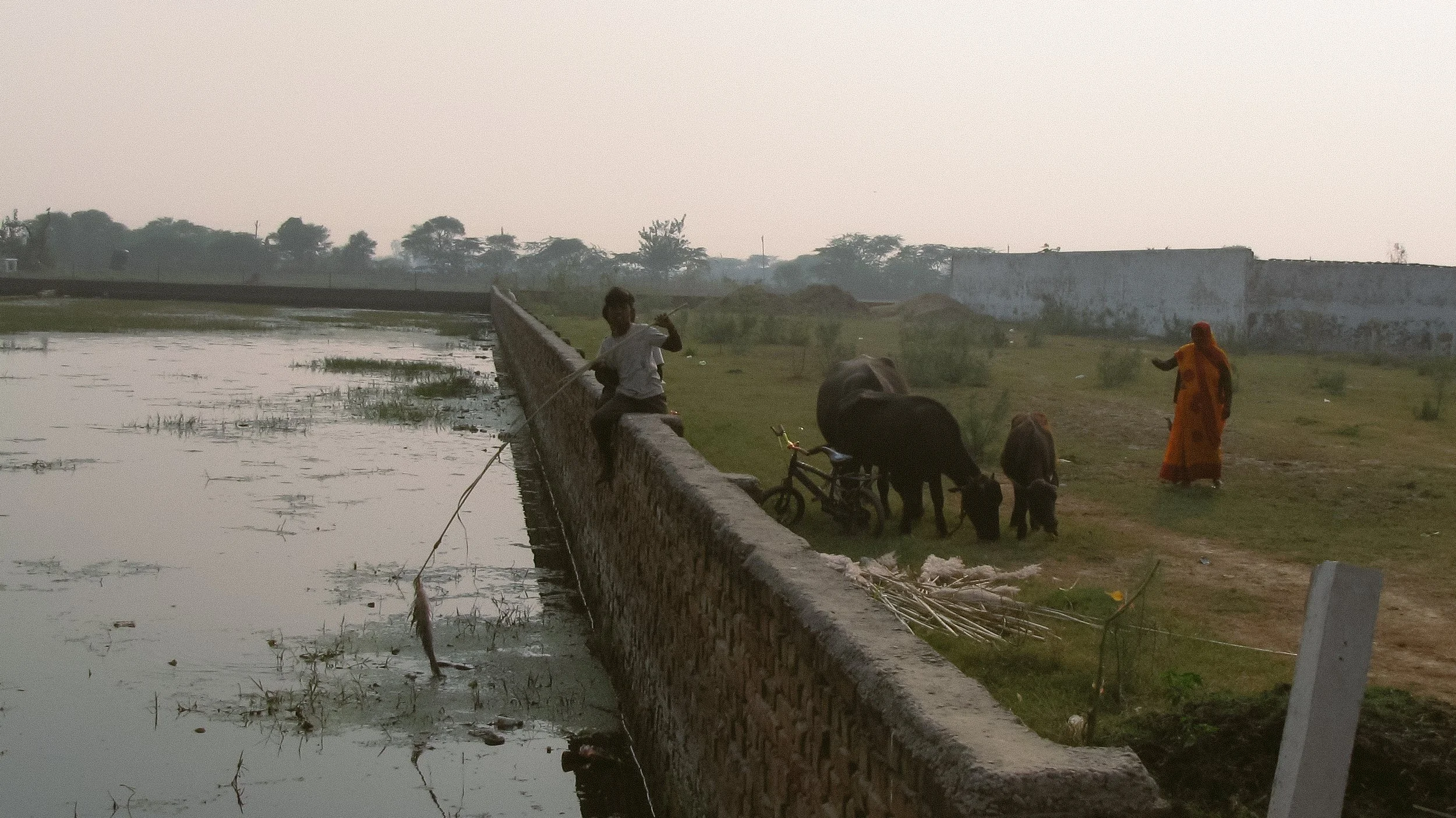 Canon Powershot_4315.jpg