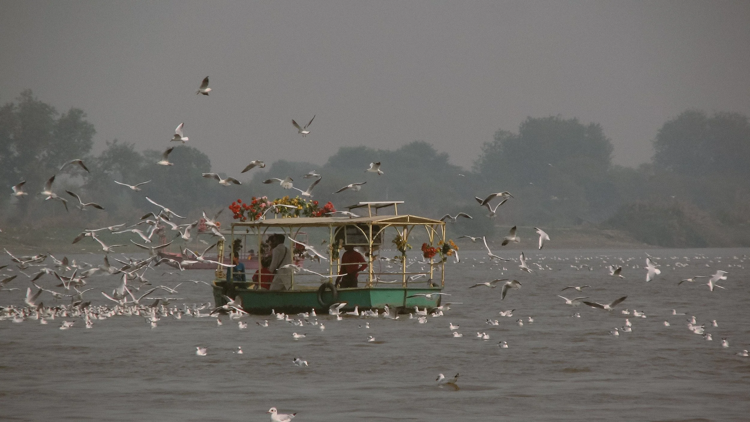 Canon Powershot_4364.jpg