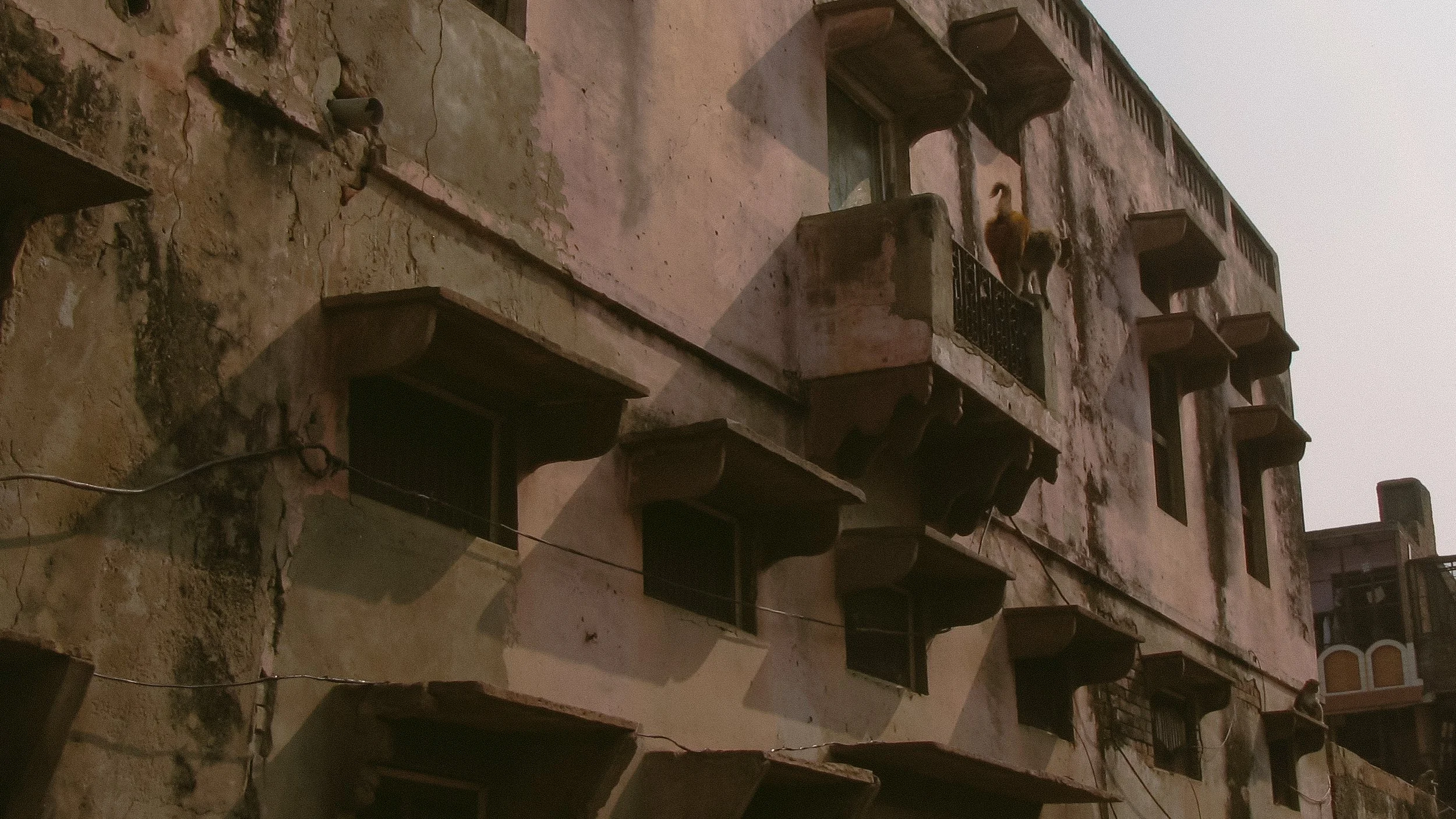 Canon Powershot_4404.jpg