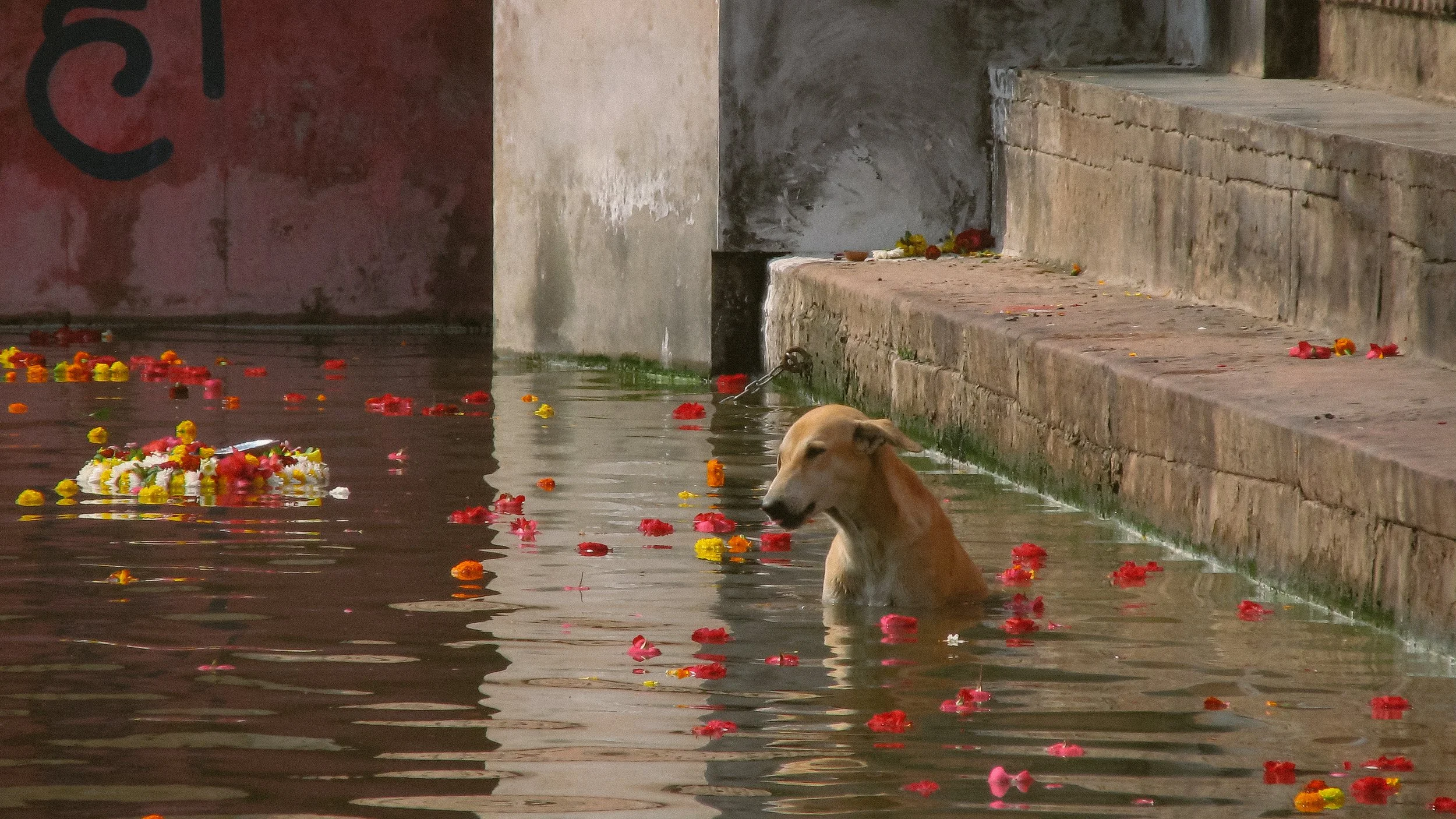 Canon Powershot_4528.jpg