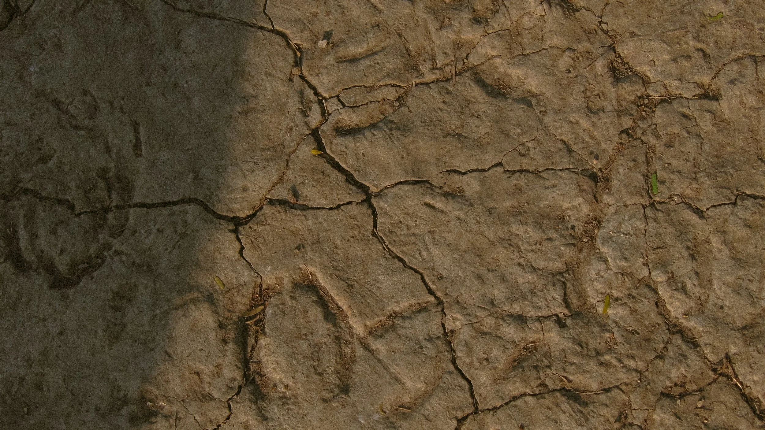 Canon Powershot_4560.jpg