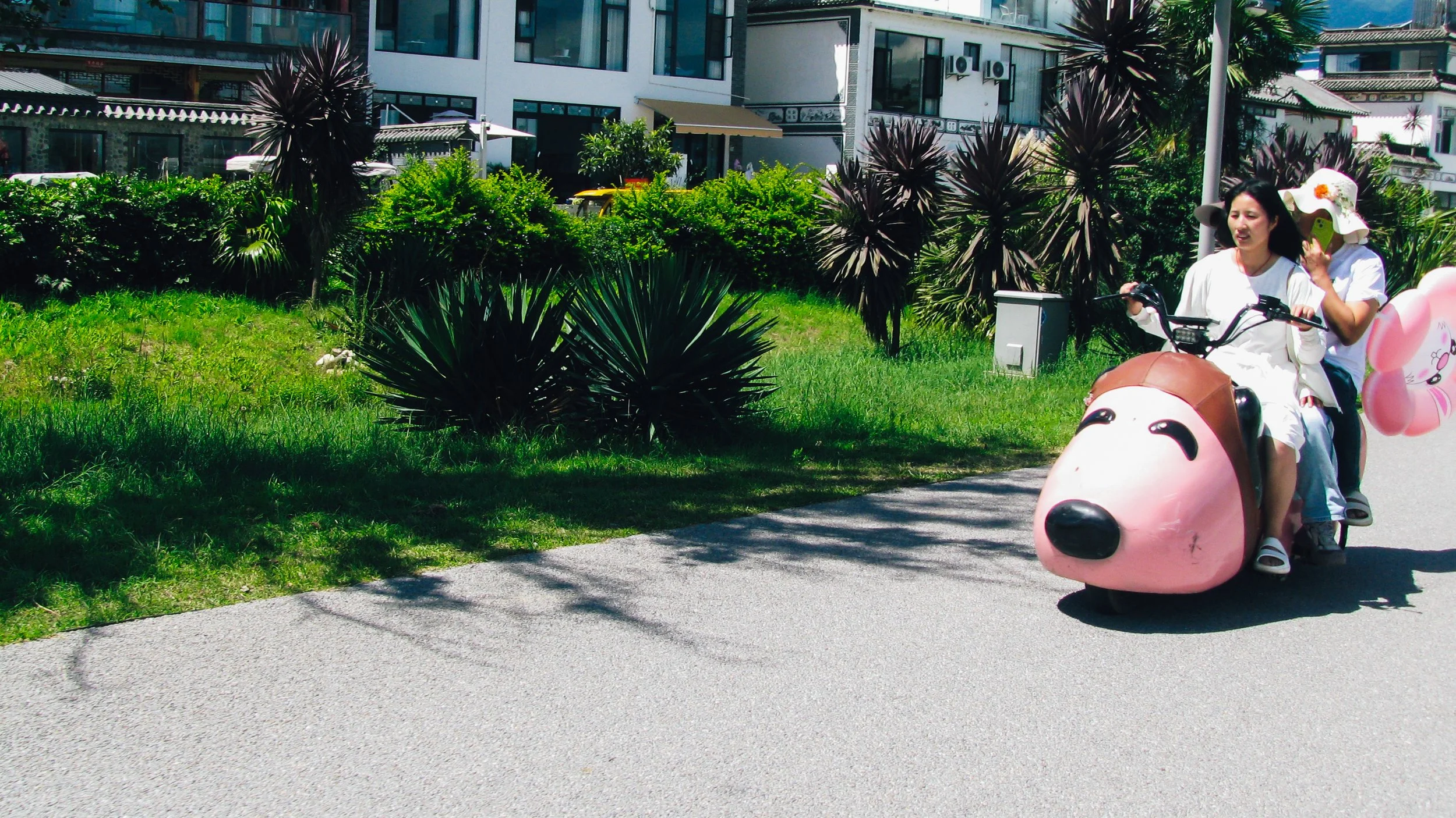 Canon Powershot_3414.jpg