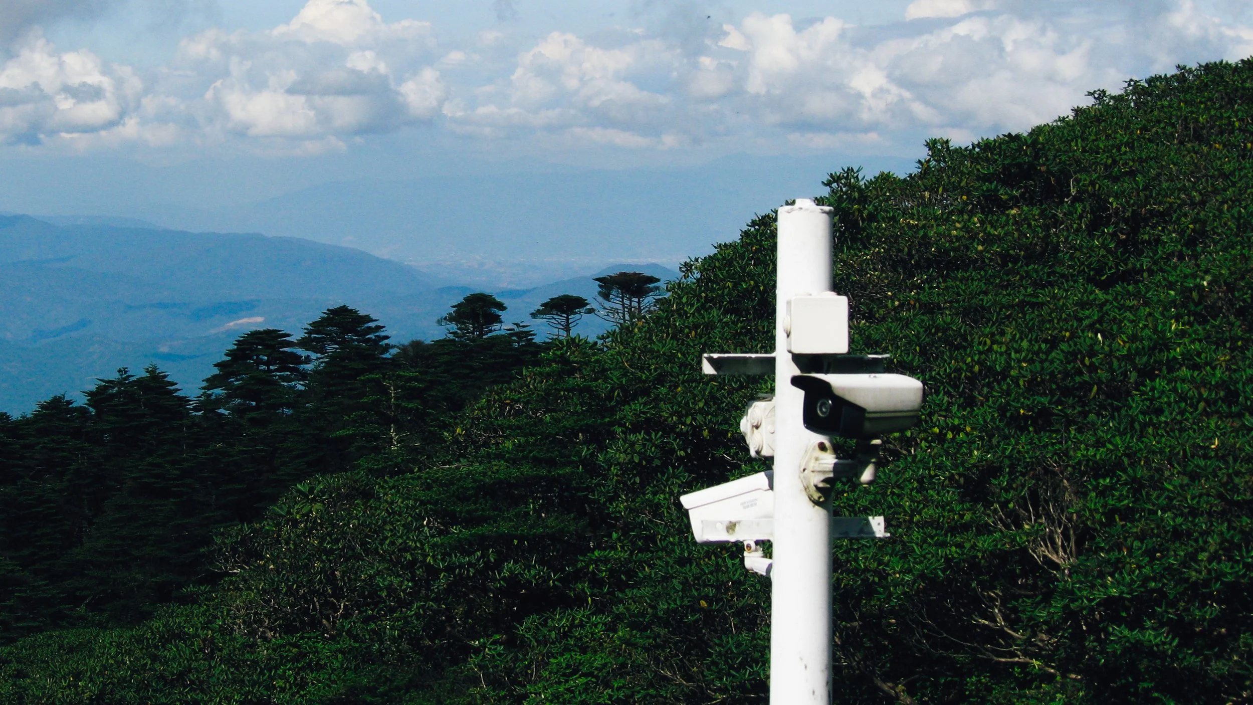 Canon Powershot_3441.jpg