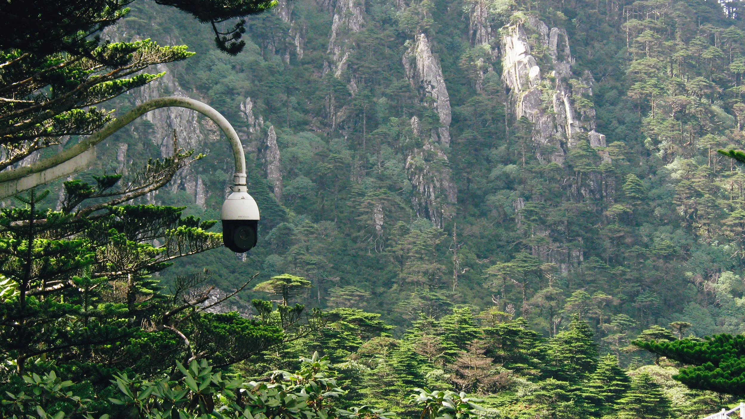 Canon Powershot_3444.jpg