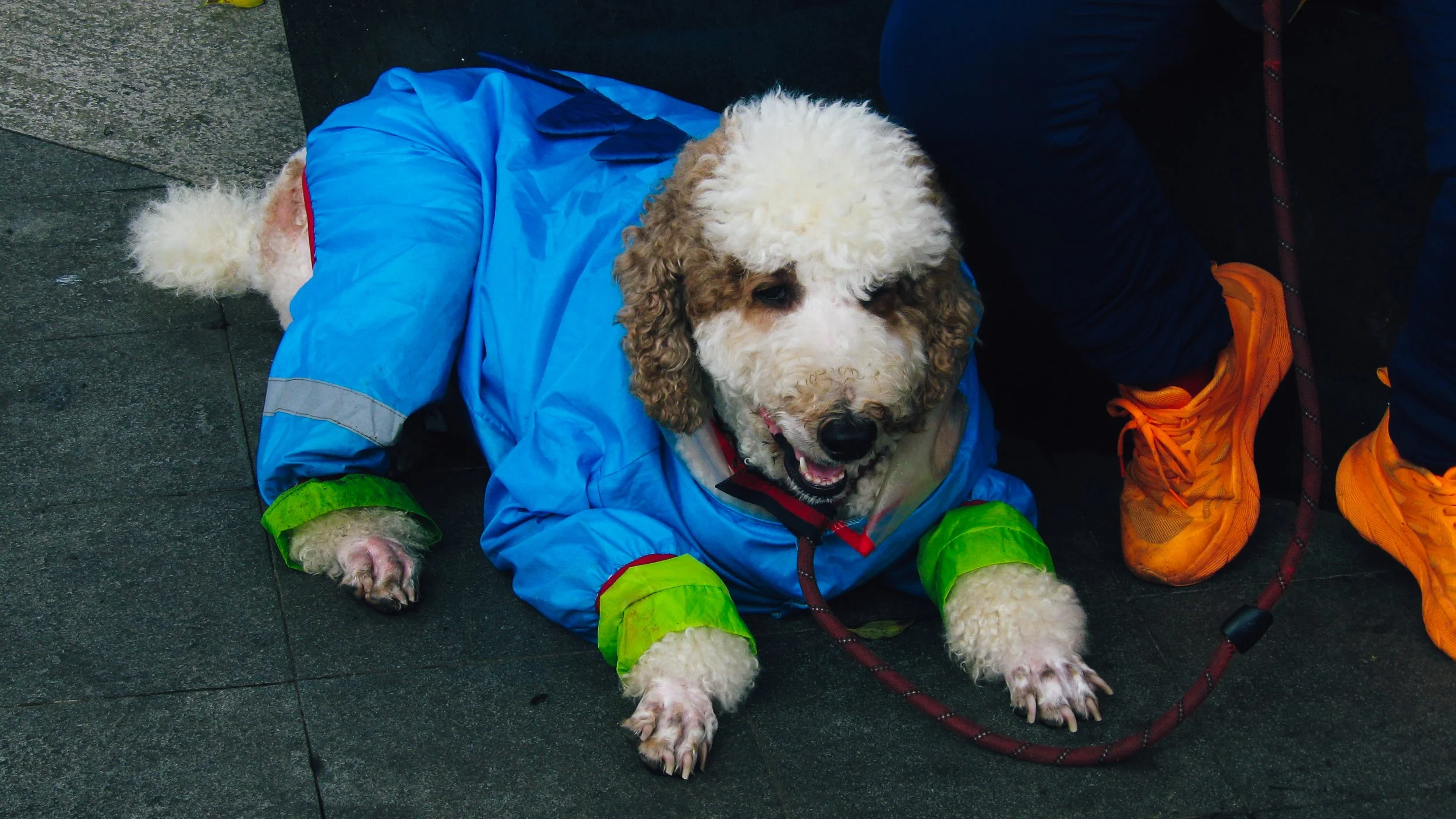 Canon Powershot_2954.jpg