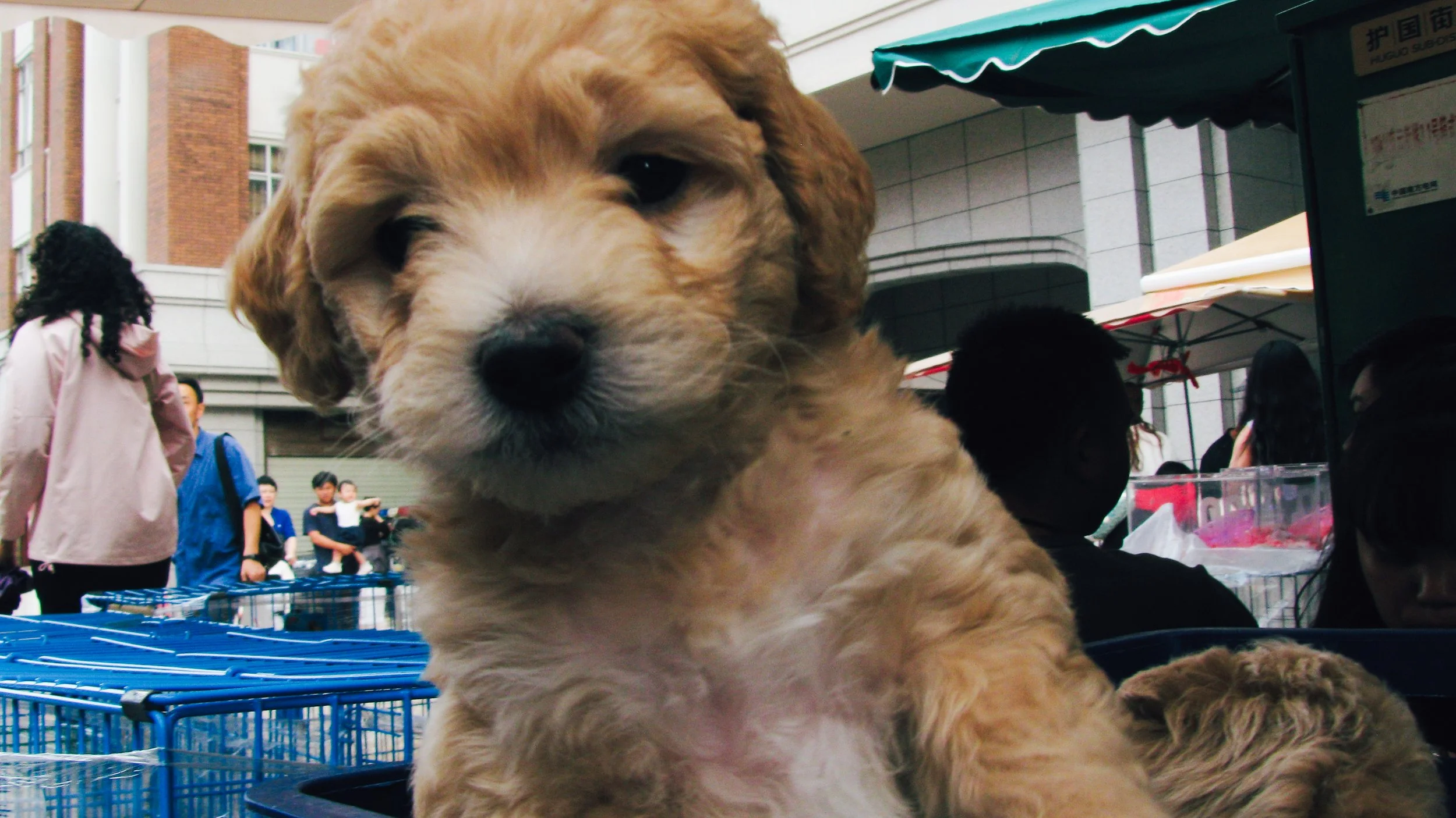 Canon Powershot_3108.jpg