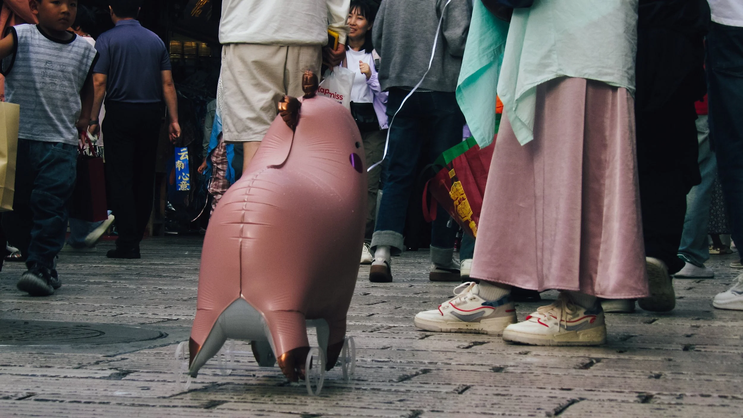 Canon Powershot_3121.jpg