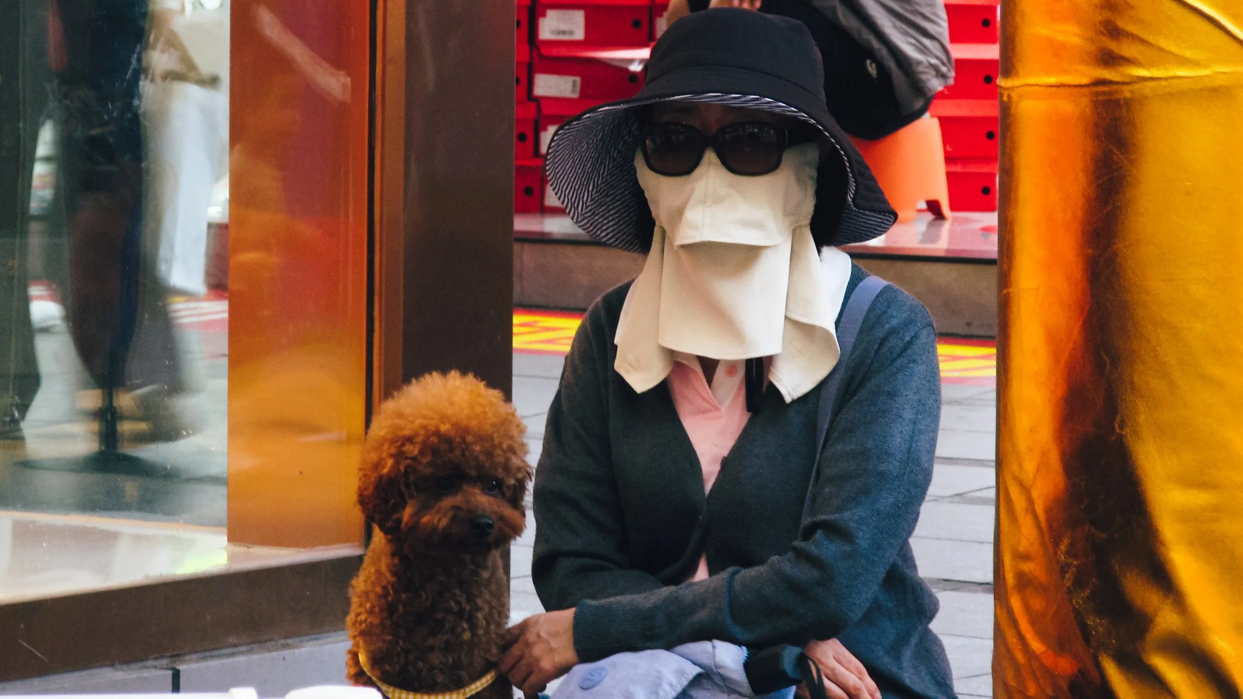 Canon Powershot_3136.jpg