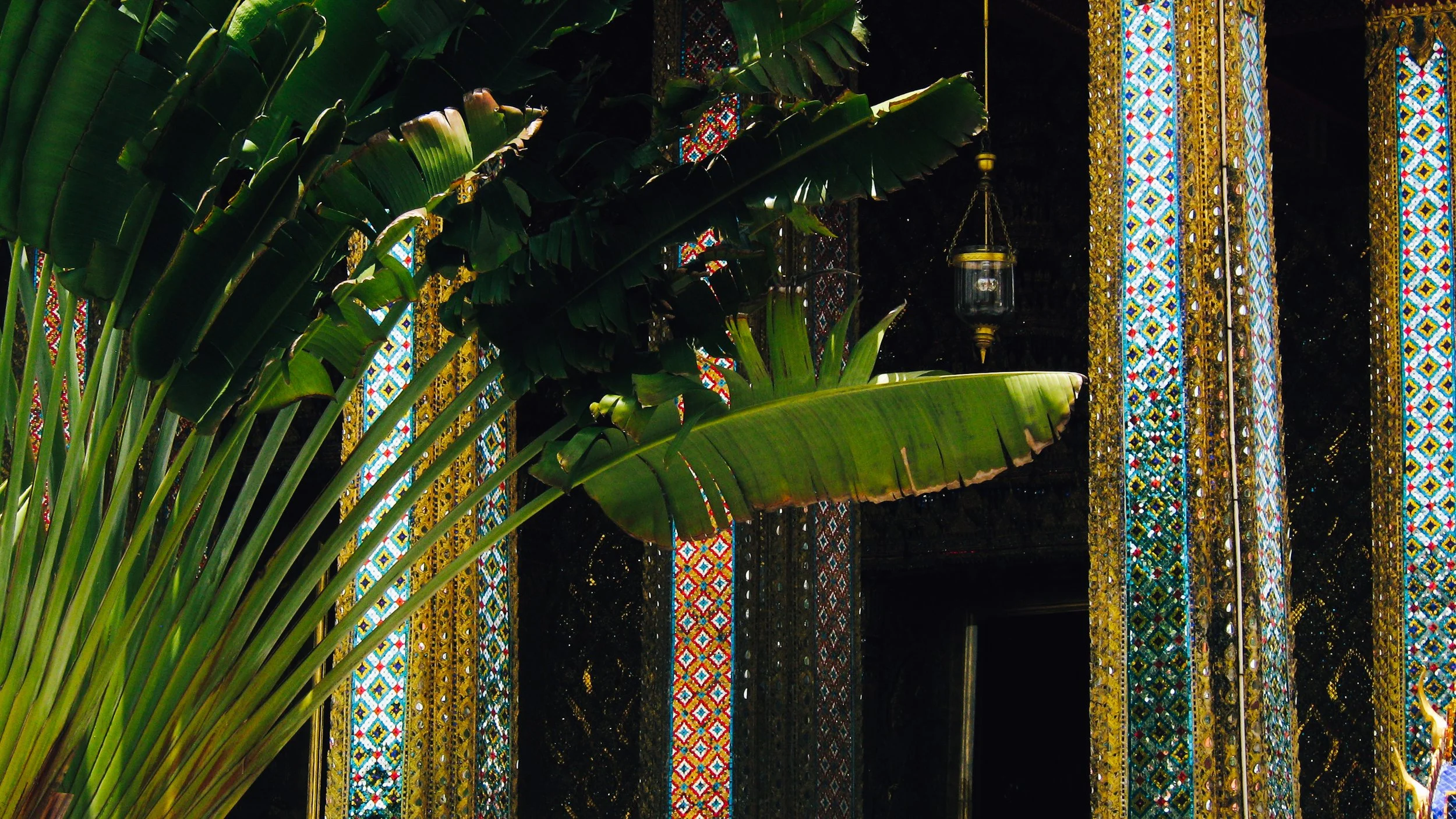 Canon Powershot_2510.jpg