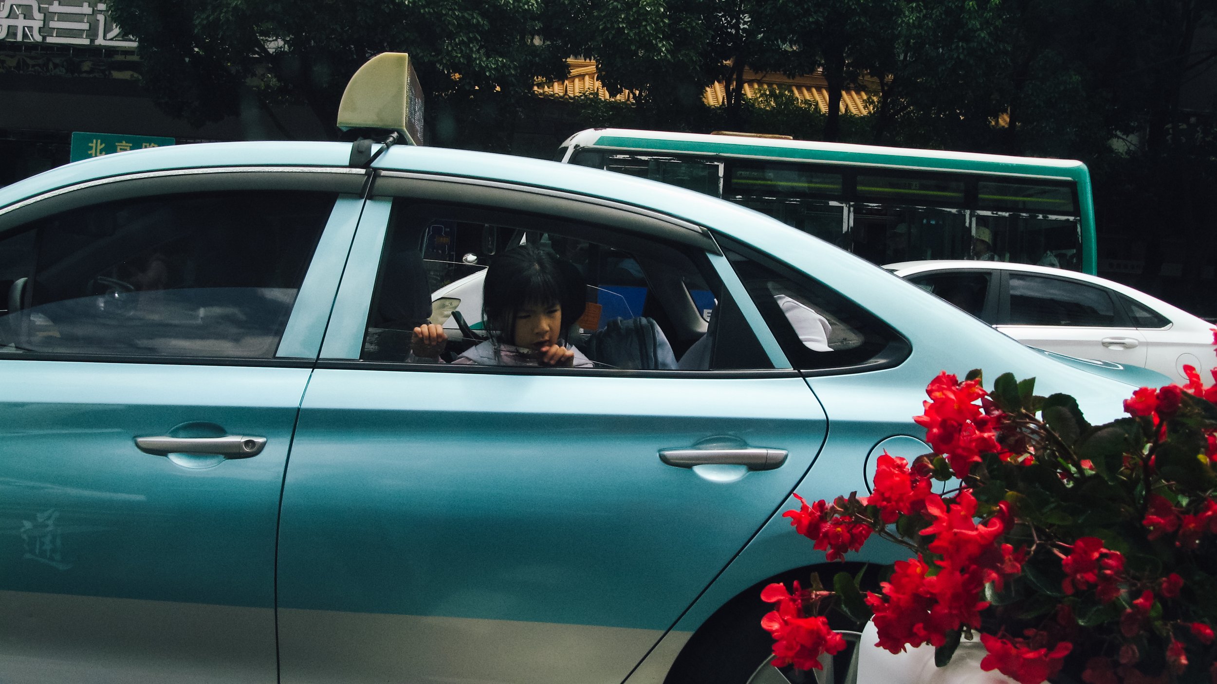 Canon Powershot_3238.jpg