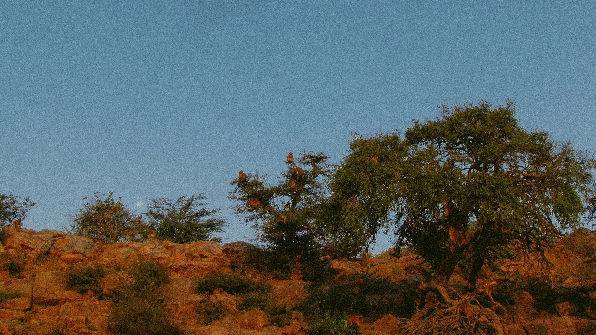 Canon Powershot_4064.jpg