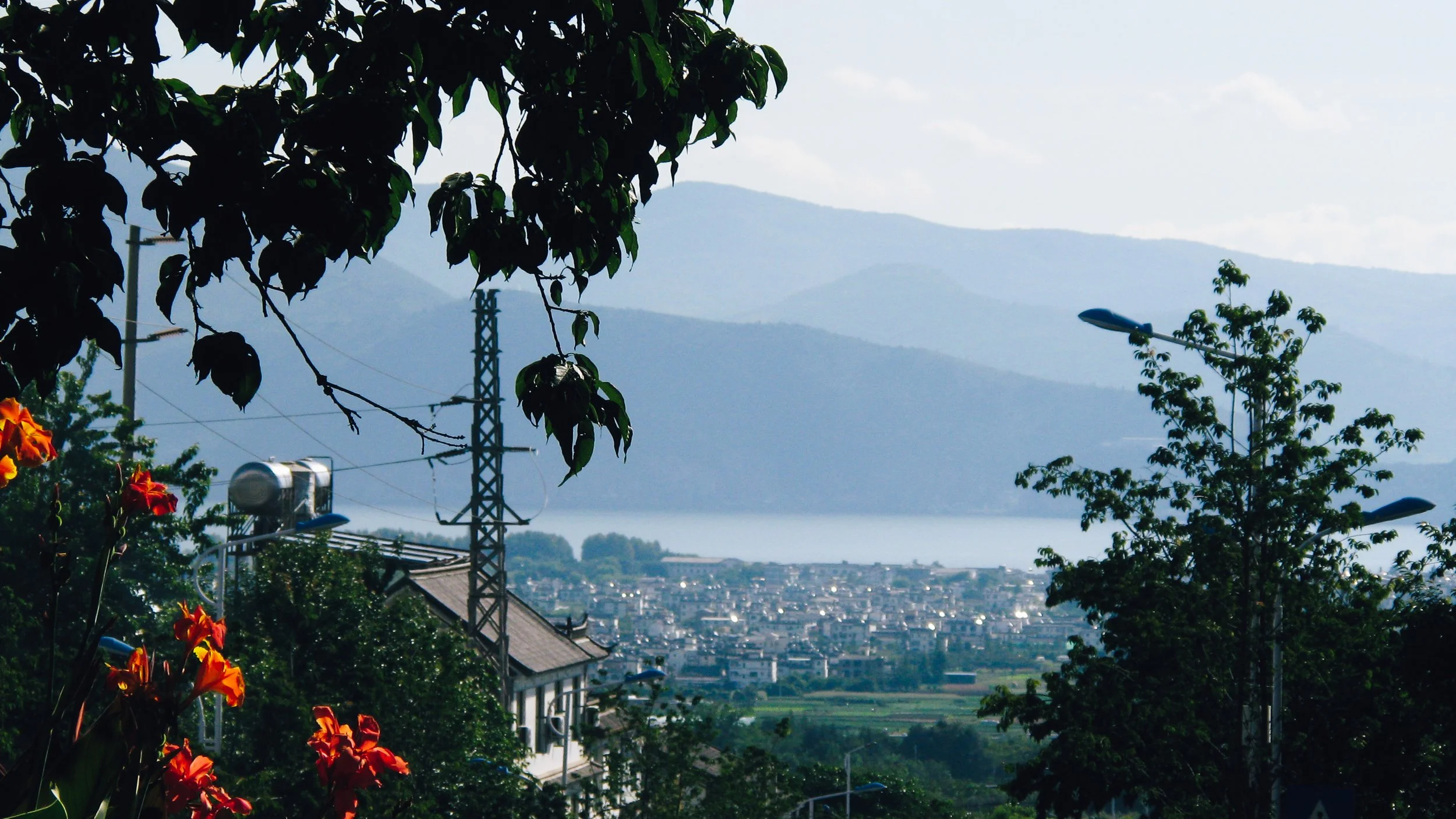 Canon Powershot_3396.jpg