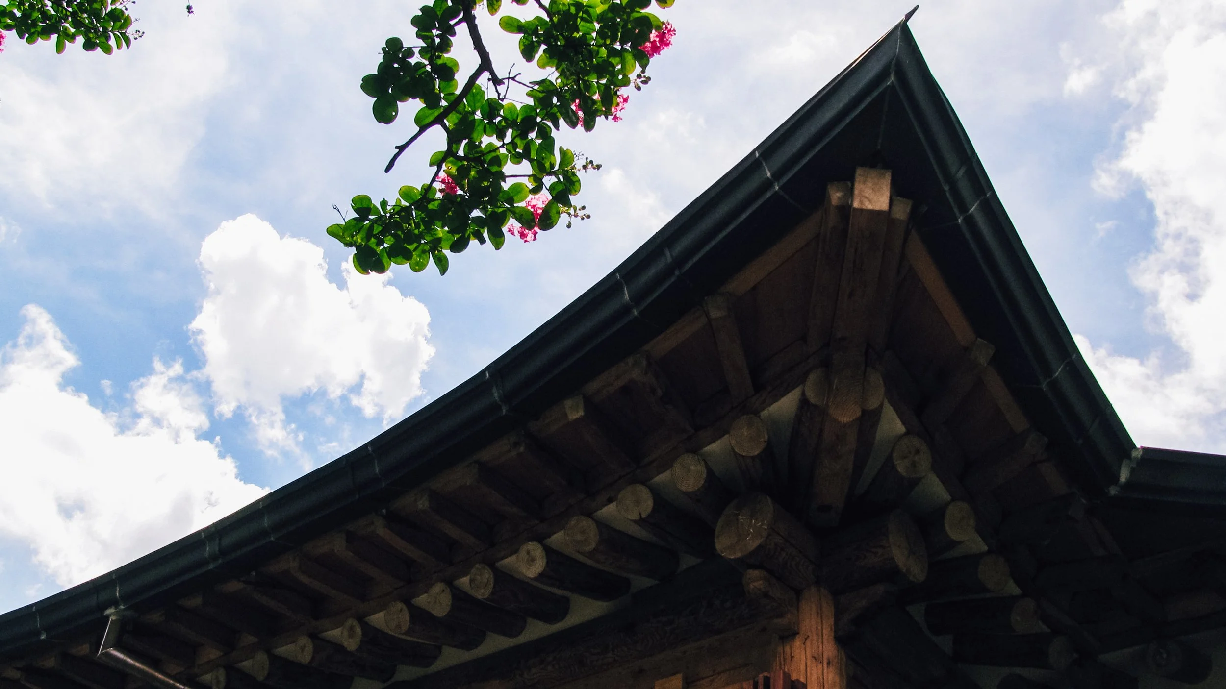 Canon Powershot_2406.jpg