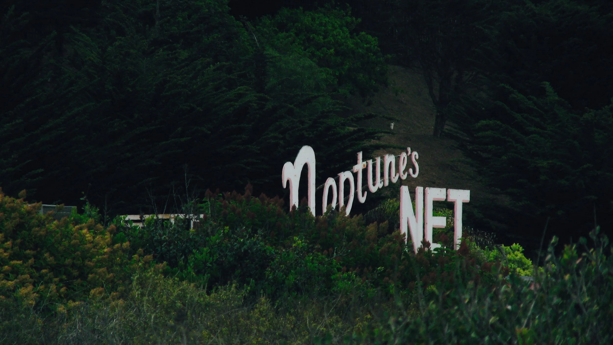 Canon Powershot_2213.jpg