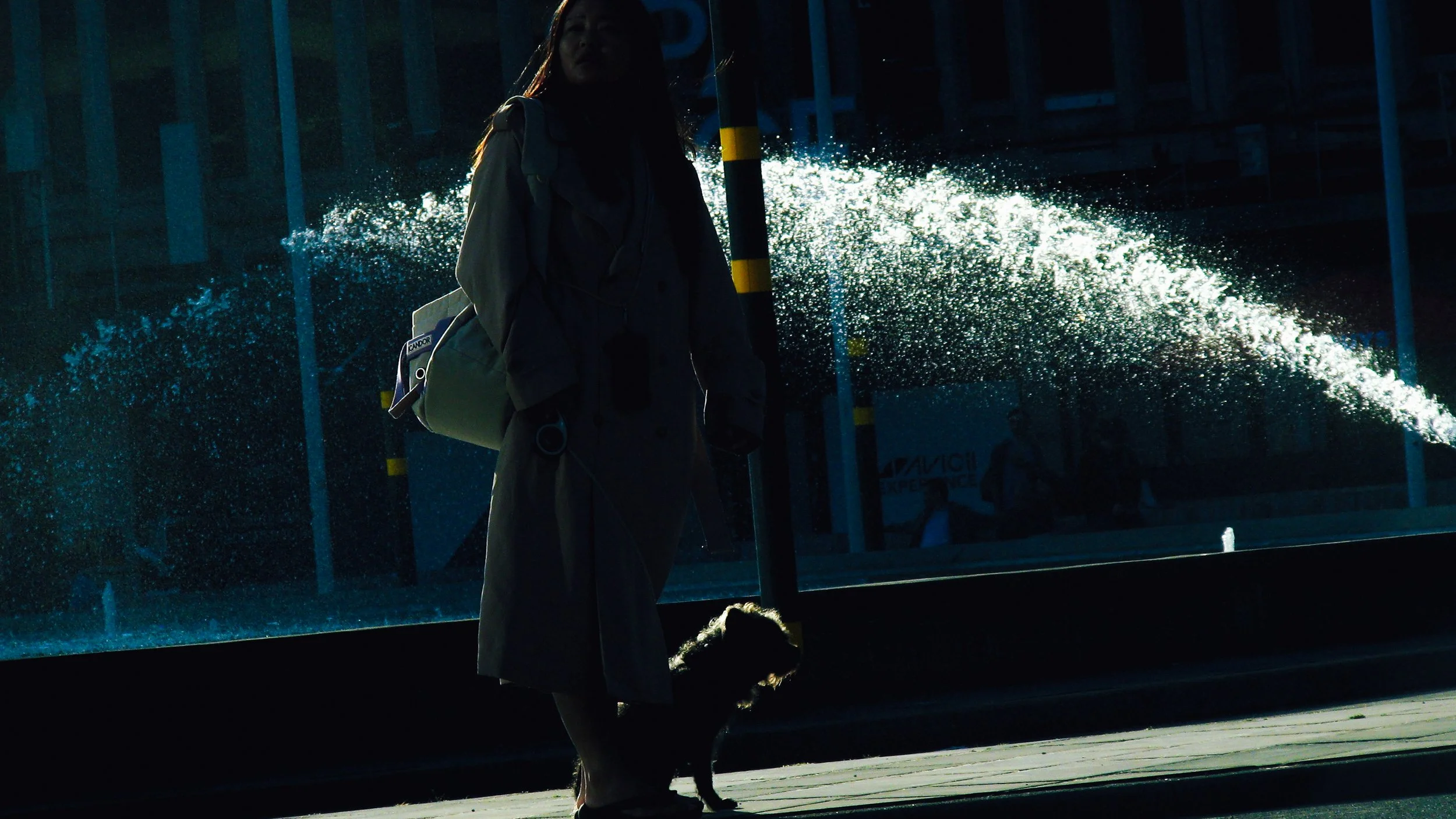 Canon Powershot_1393.jpg