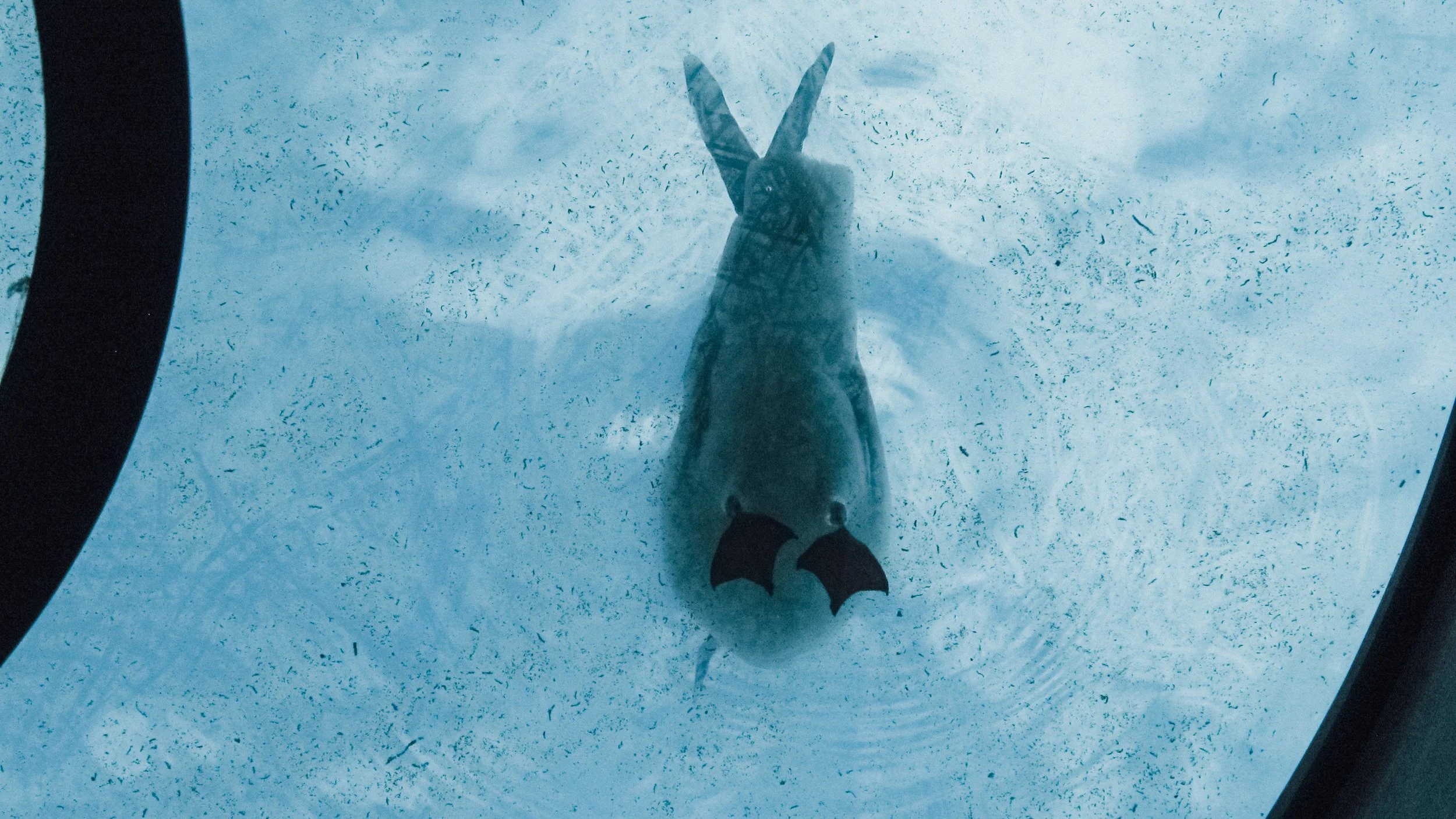 Canon Powershot_1383.jpg