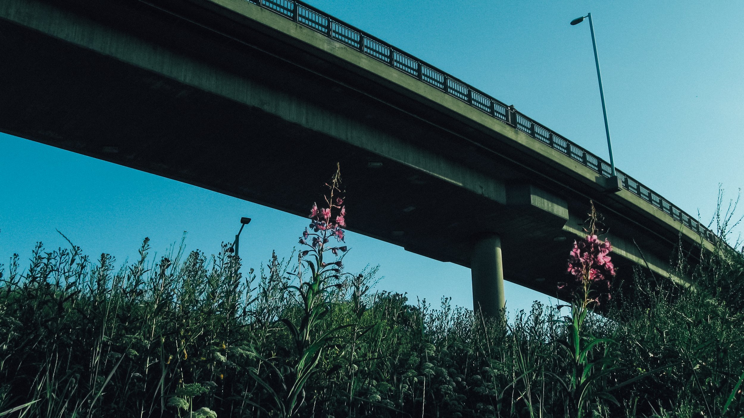 Canon Powershot_1514.jpg