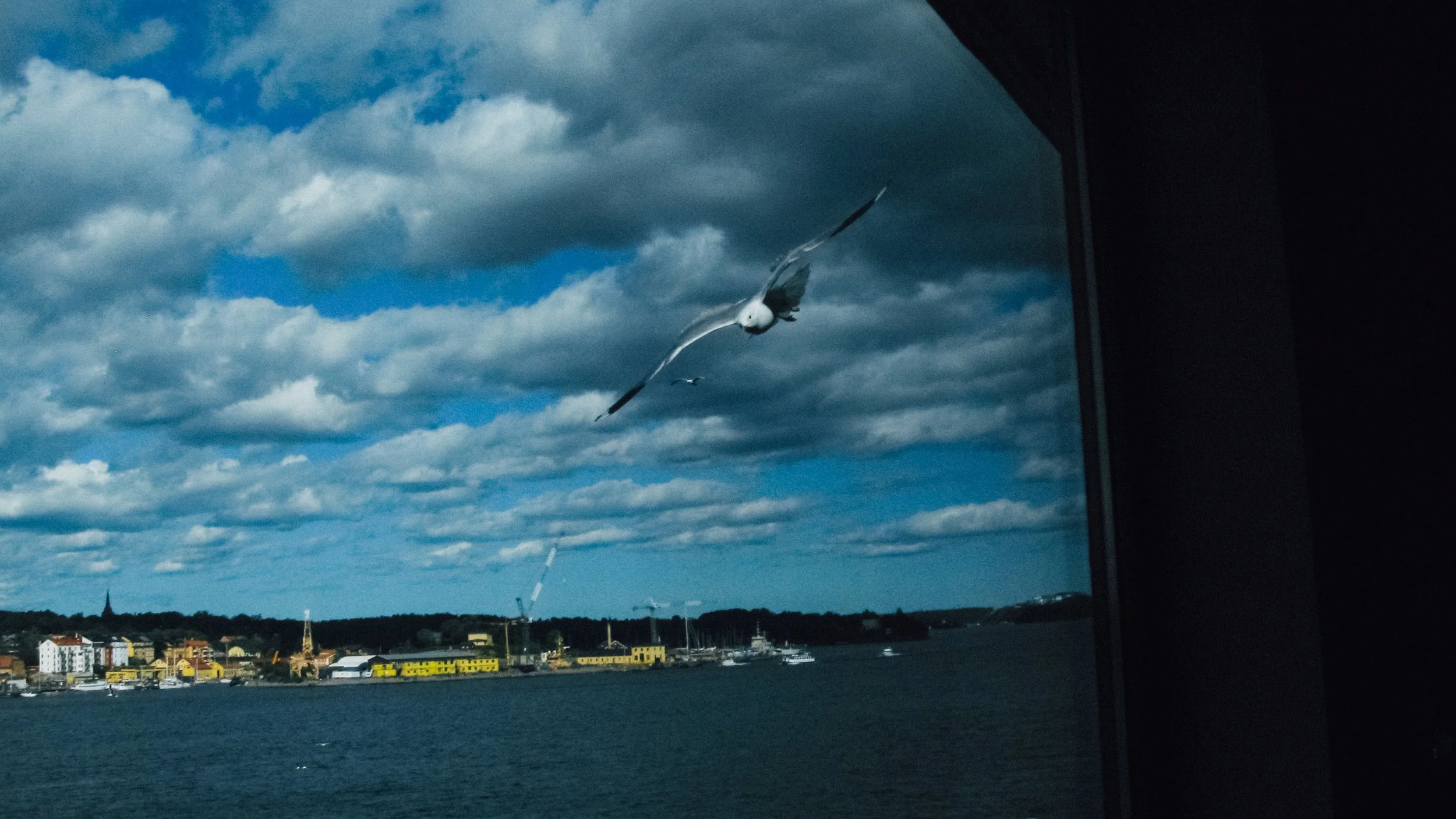 Canon Powershot_1649.jpg