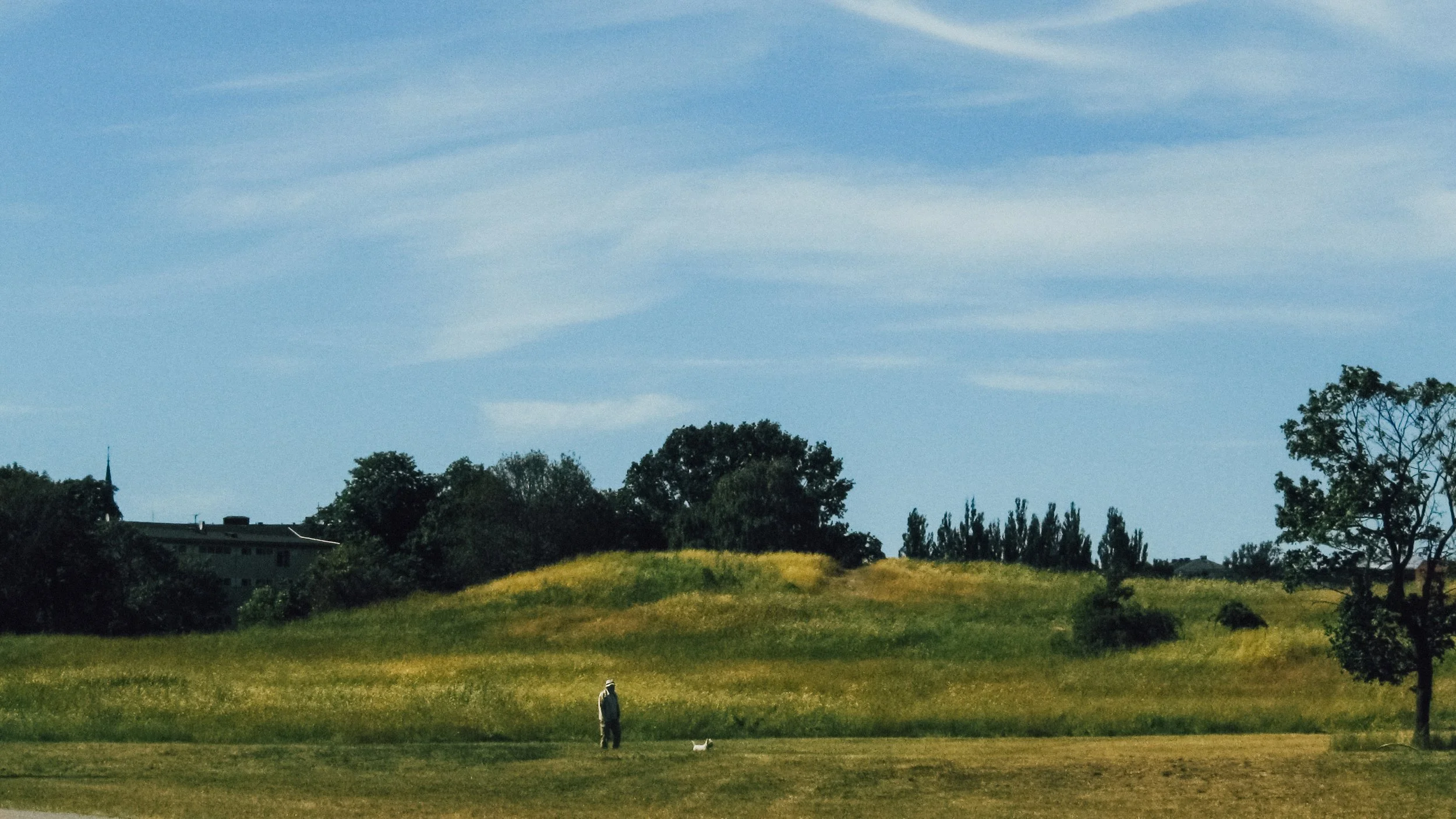 Canon Powershot_1735.jpg