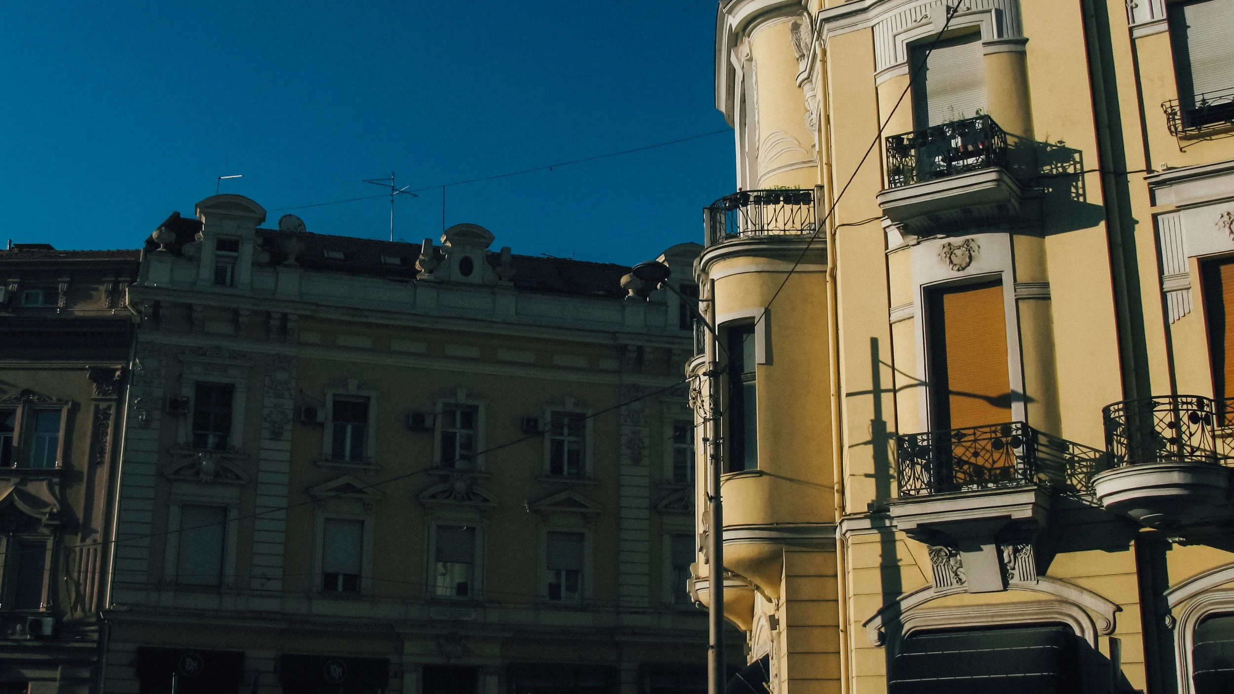 Canon Powershot_1197.jpg