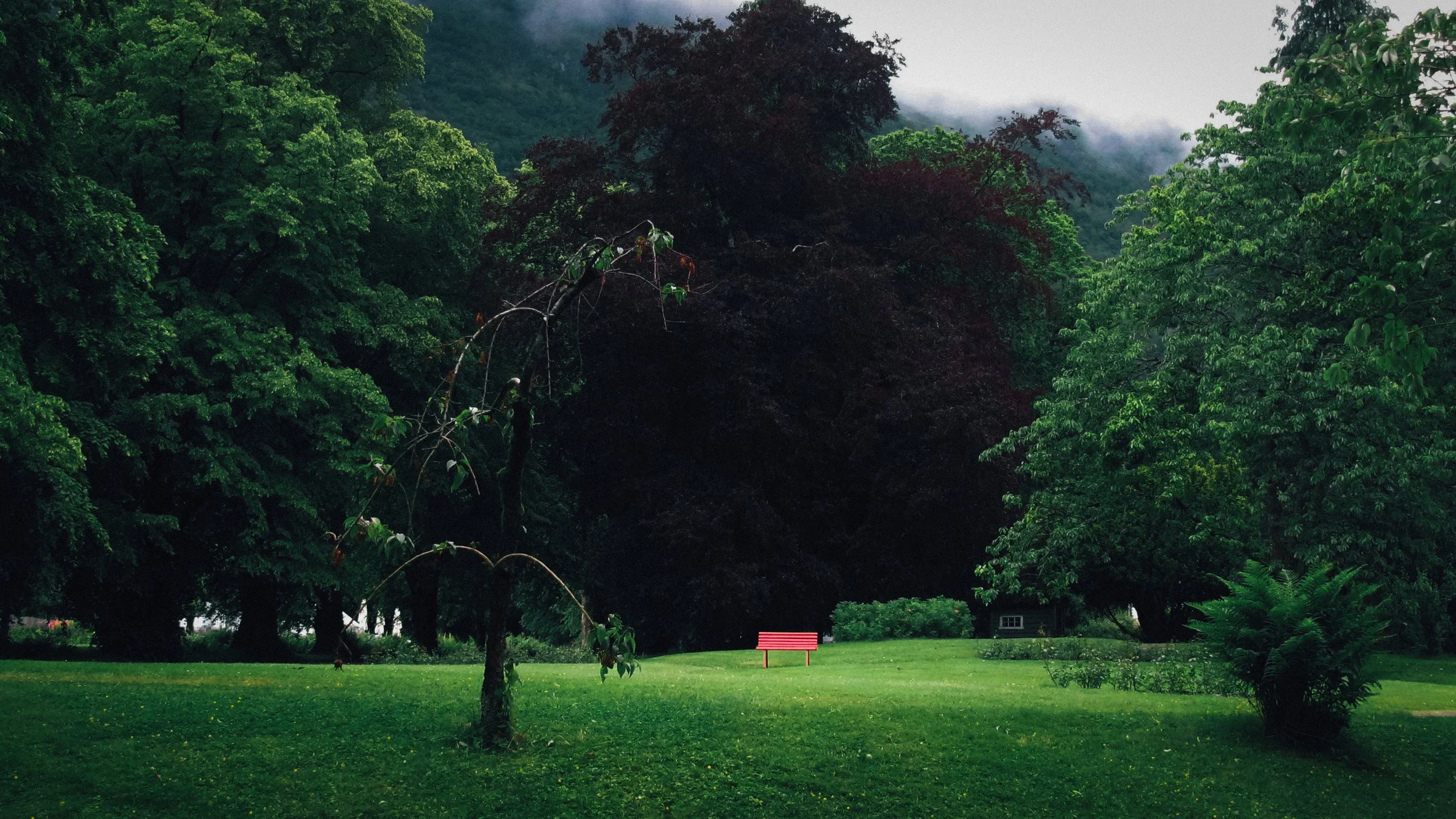 Canon Powershot_1042.jpg