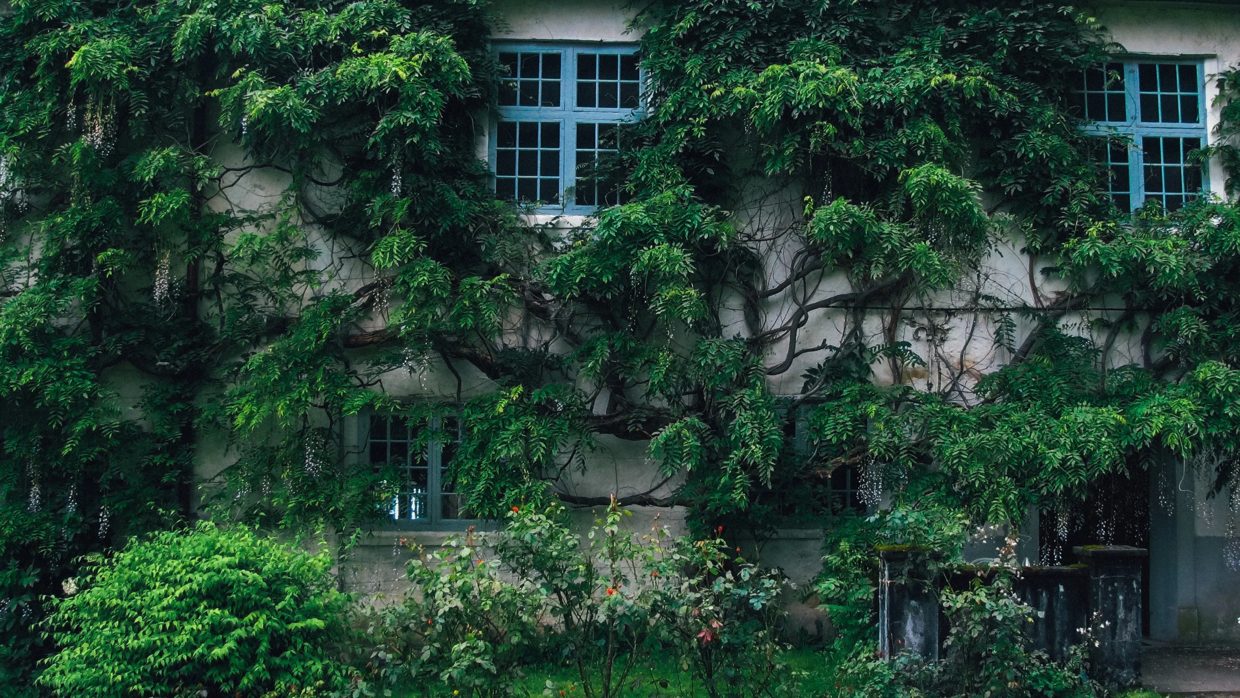 Canon Powershot_1039.jpg