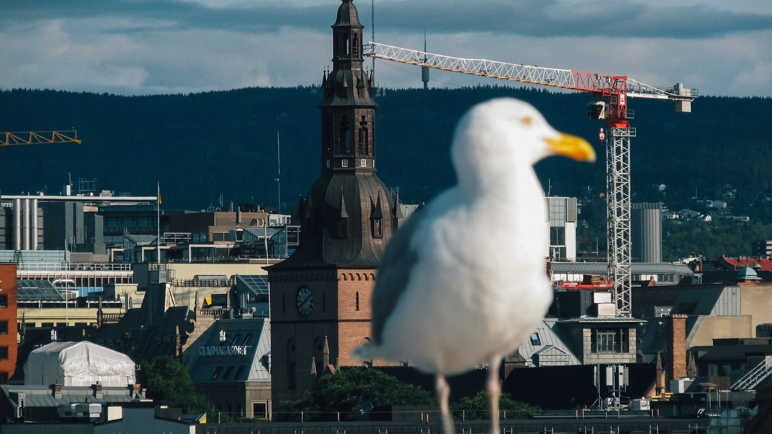 Canon Powershot_722.jpg