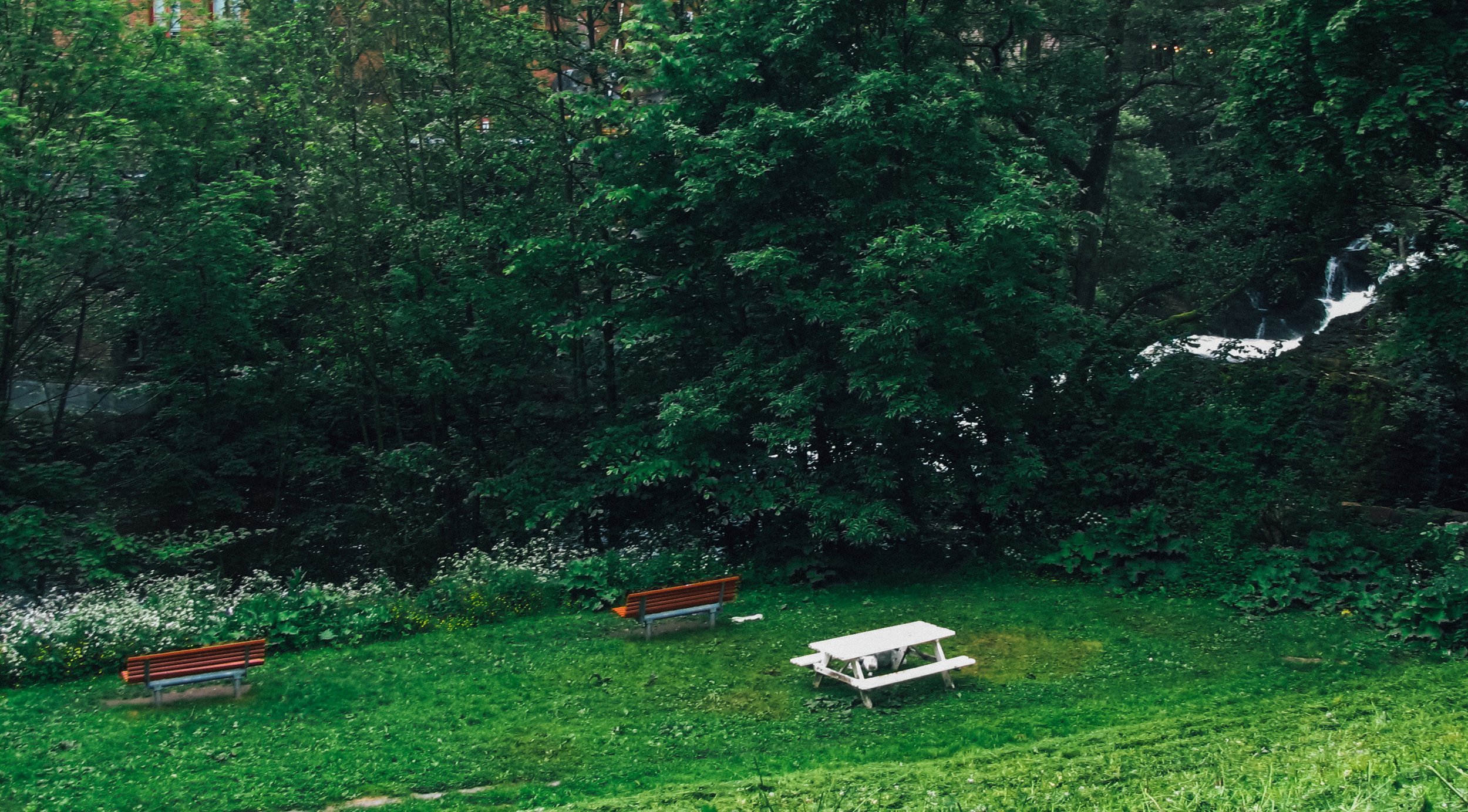 Canon Powershot_739.jpg