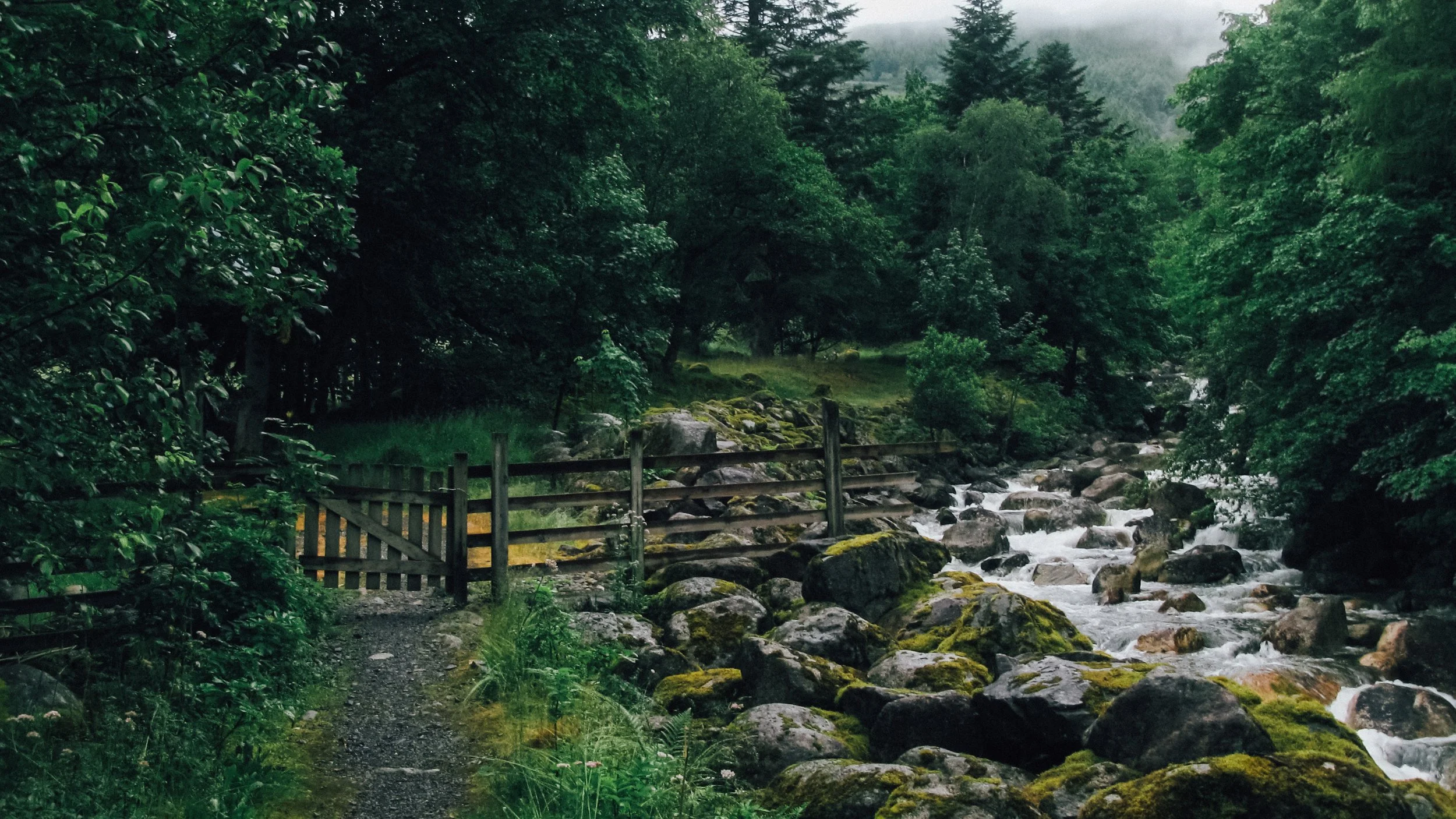 Canon Powershot_1023.jpg