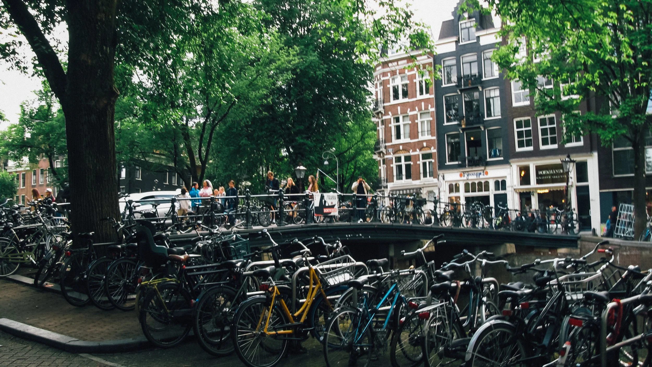 Canon Powershot_504.jpg