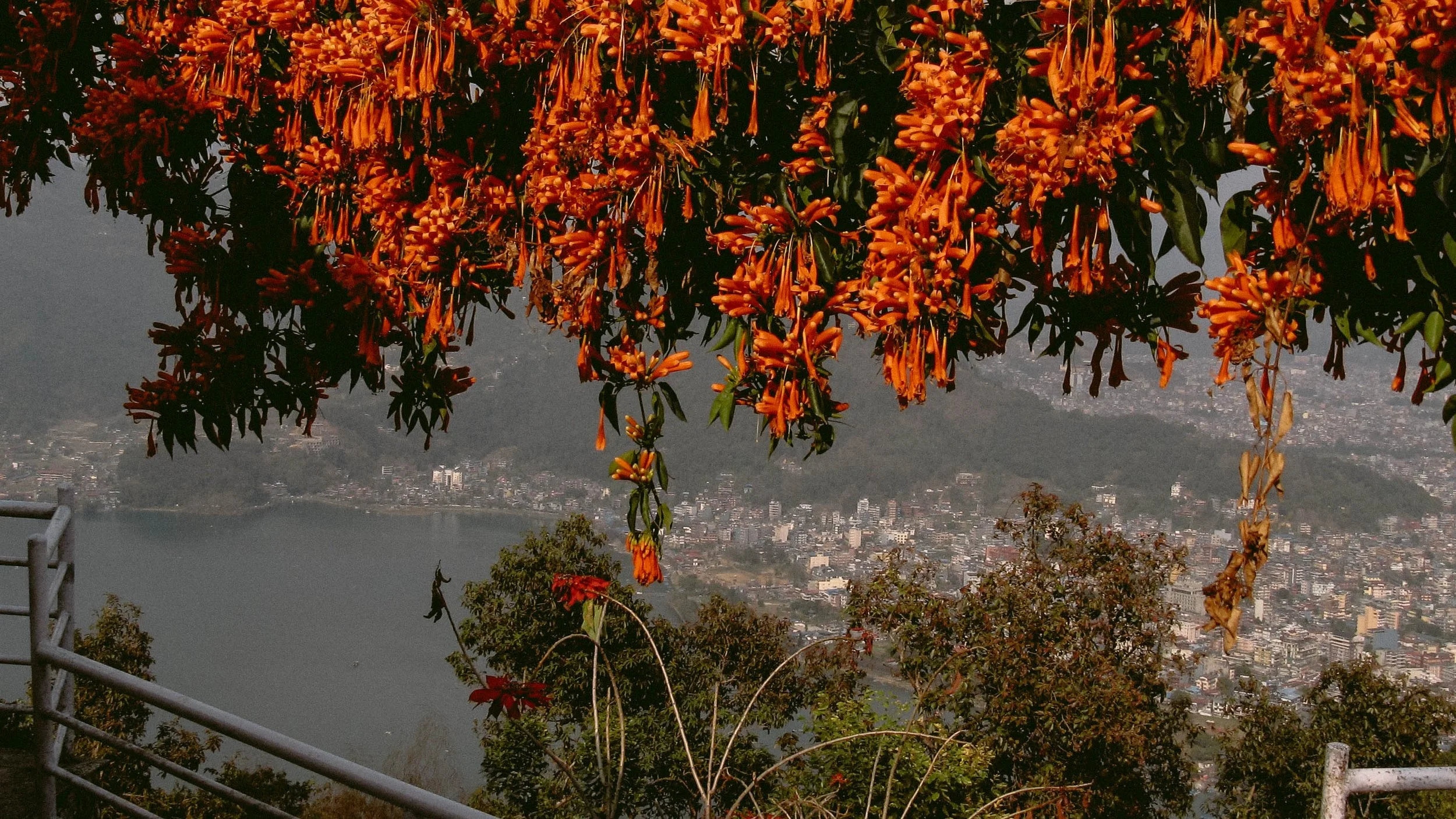 Canon Powershot_5564.jpg