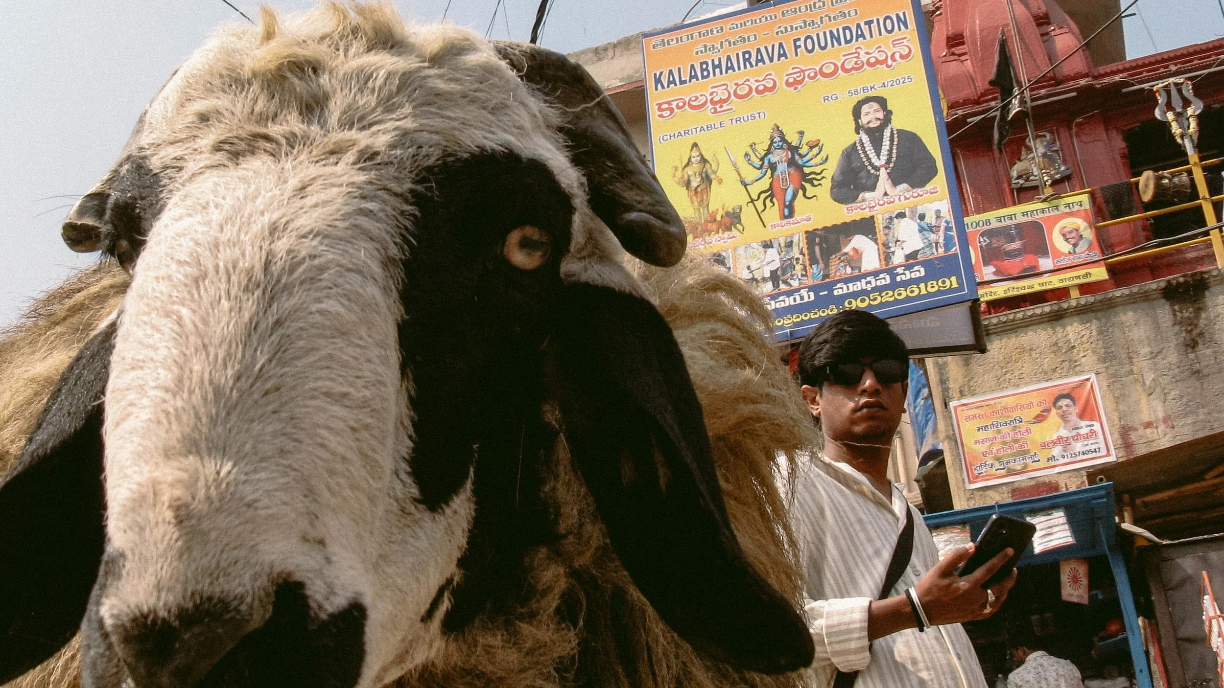 Canon Powershot_5817.jpg