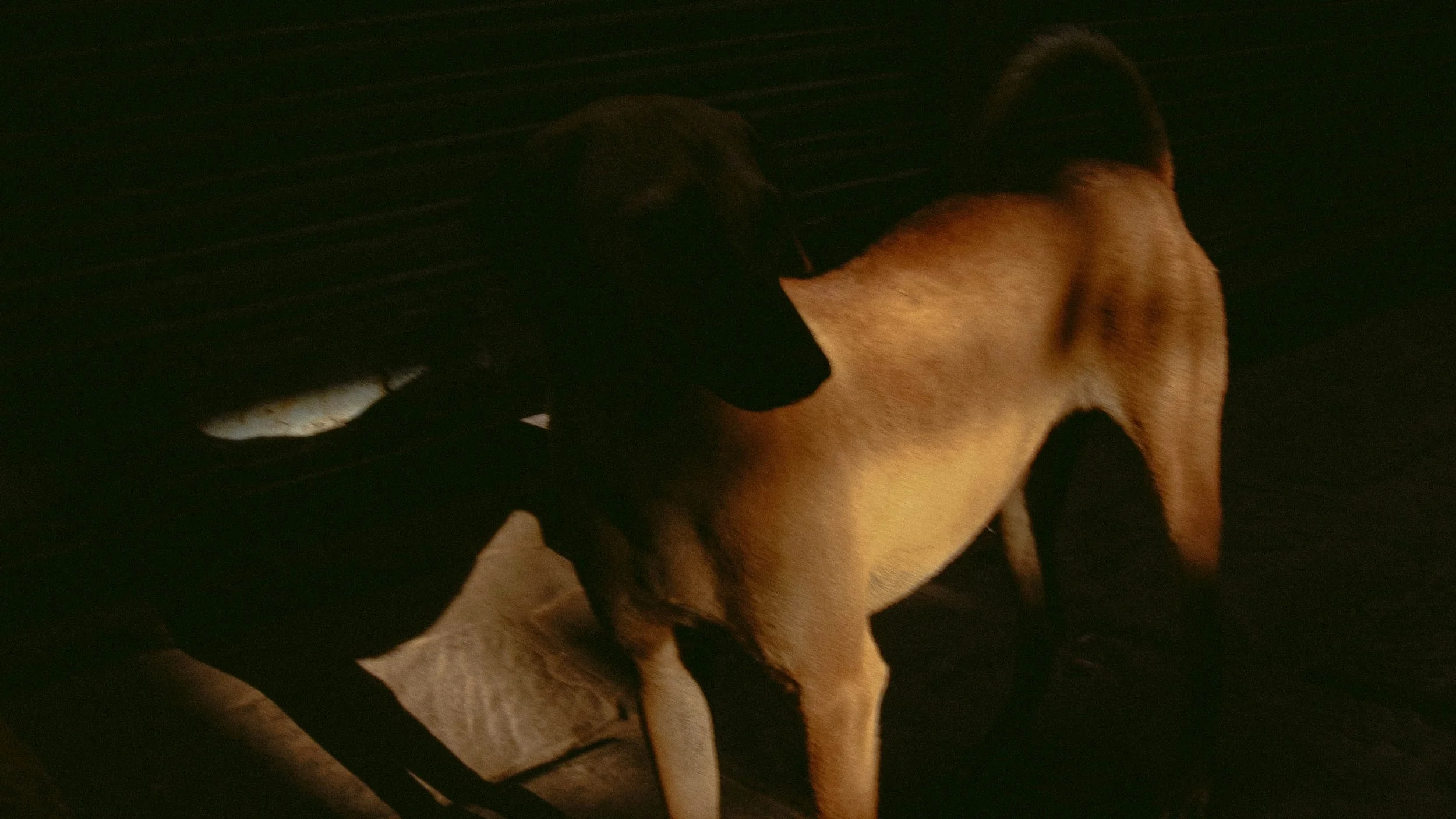 Canon Powershot_5964.jpg