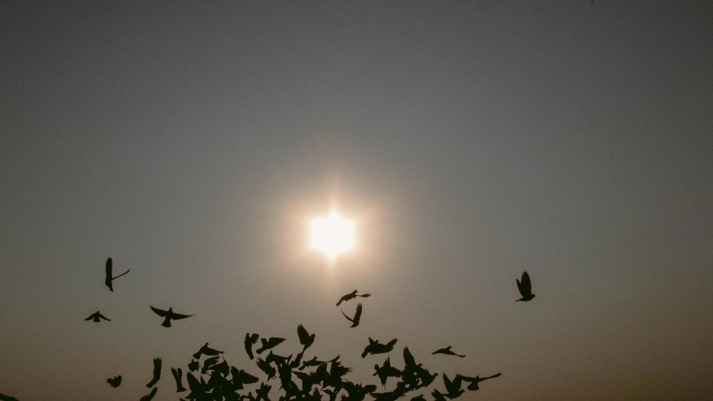 Canon Powershot_5945.jpg