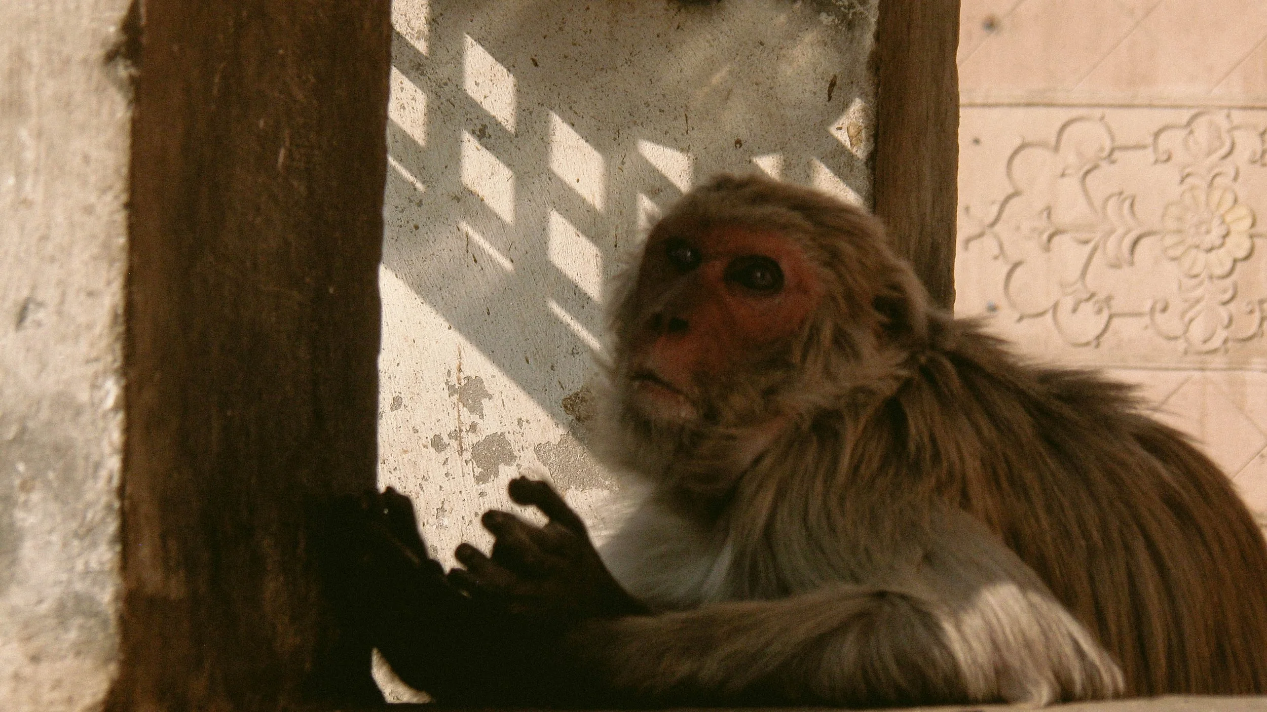 Canon Powershot_6117.jpg