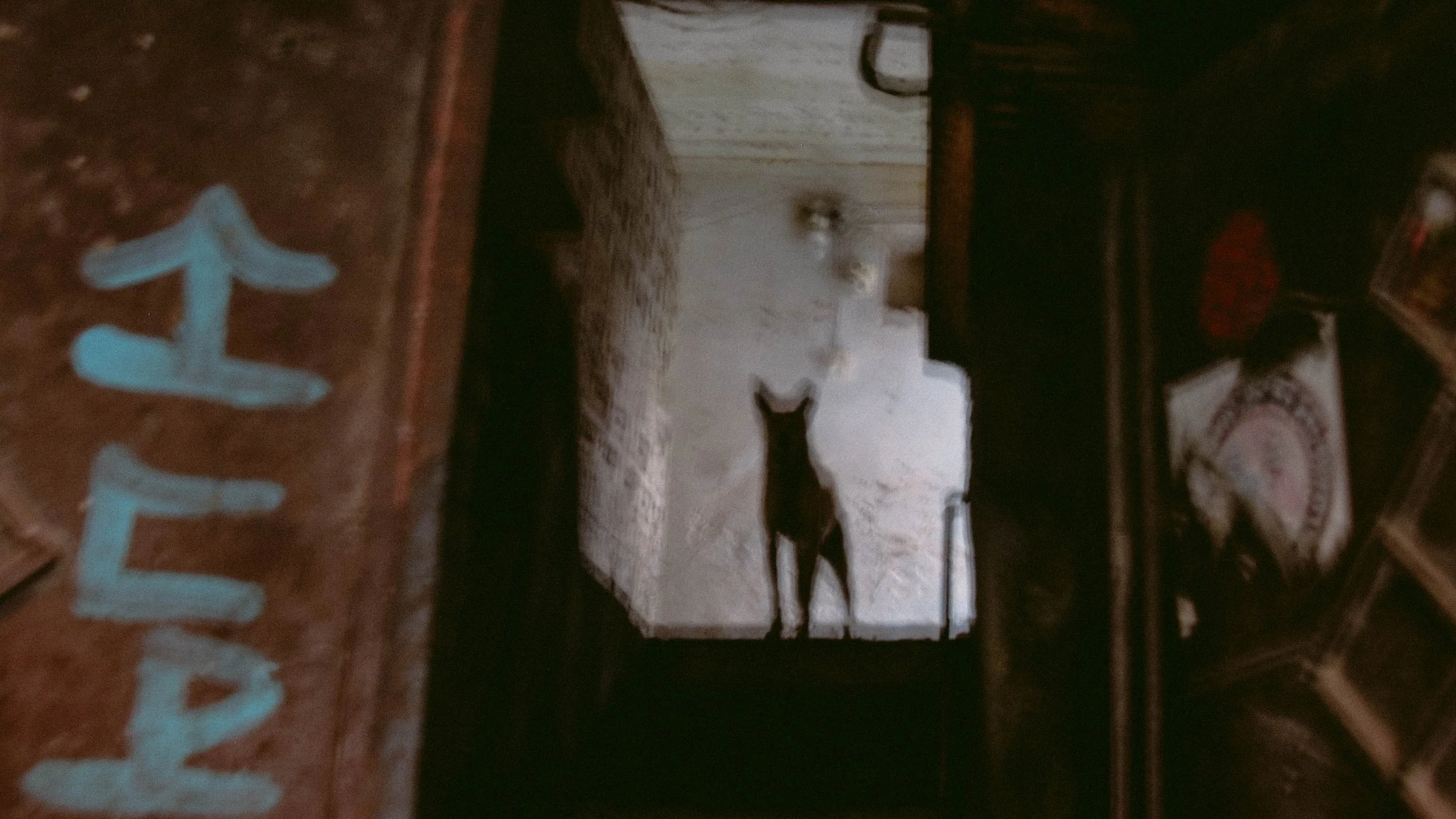 Canon Powershot_5861.jpg