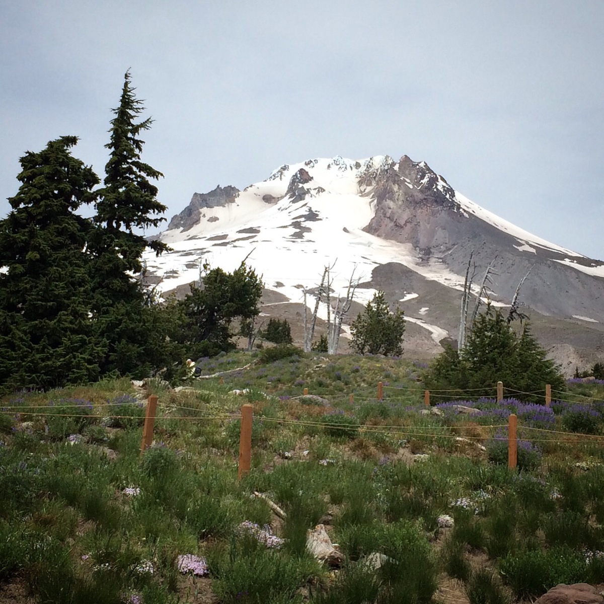 Mount Hood, Oregon