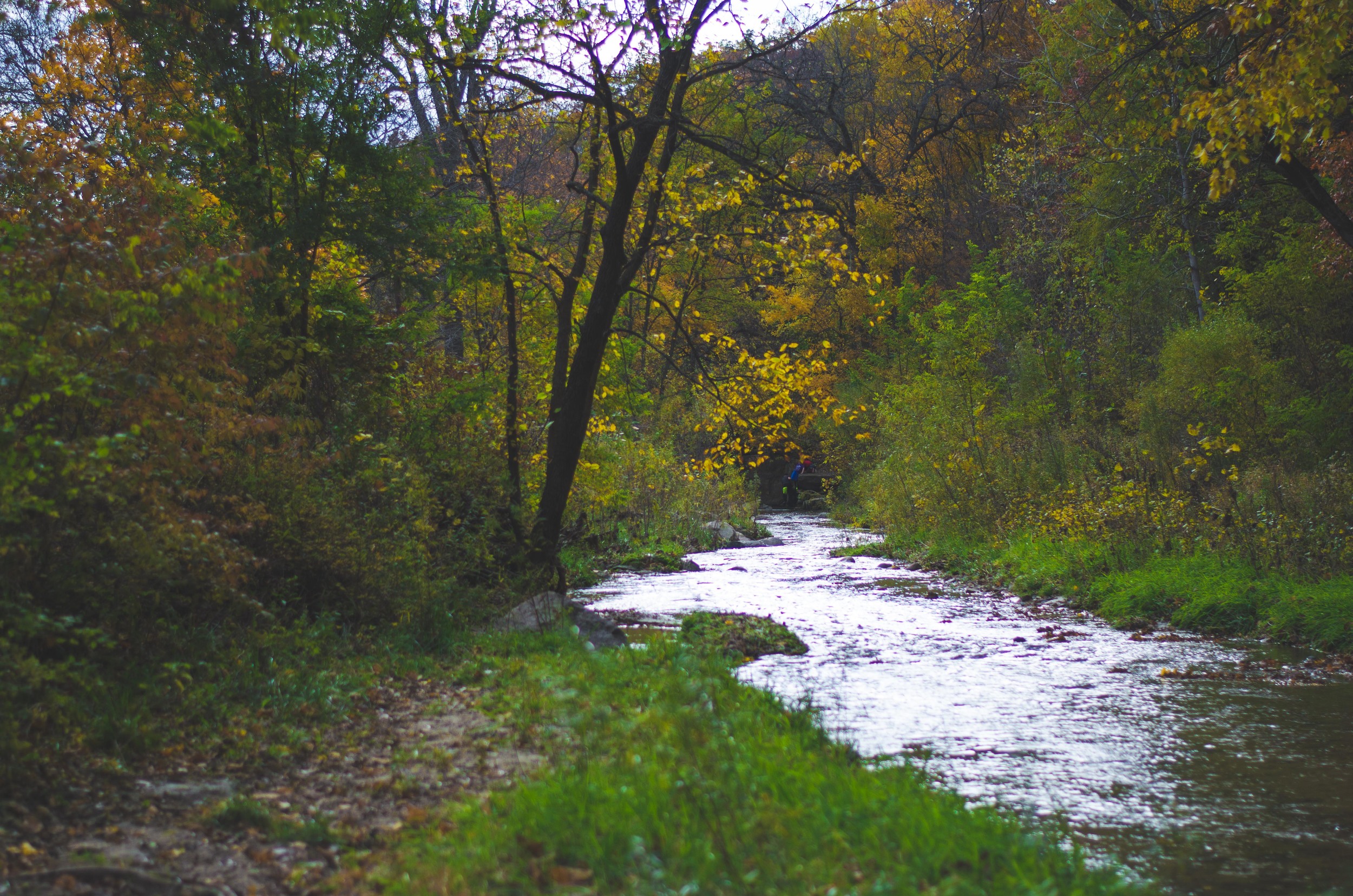 criggerfallouting14 (25 of 36).jpg
