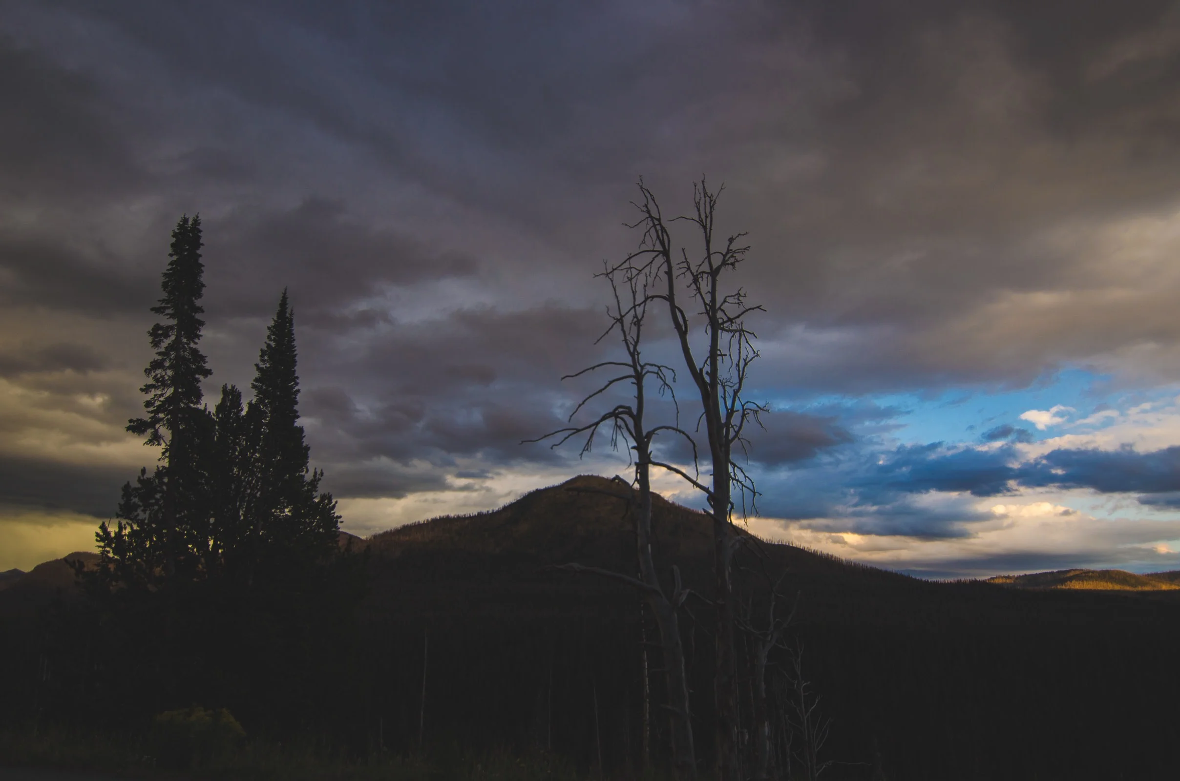 Yellowstone Trip-35.jpg