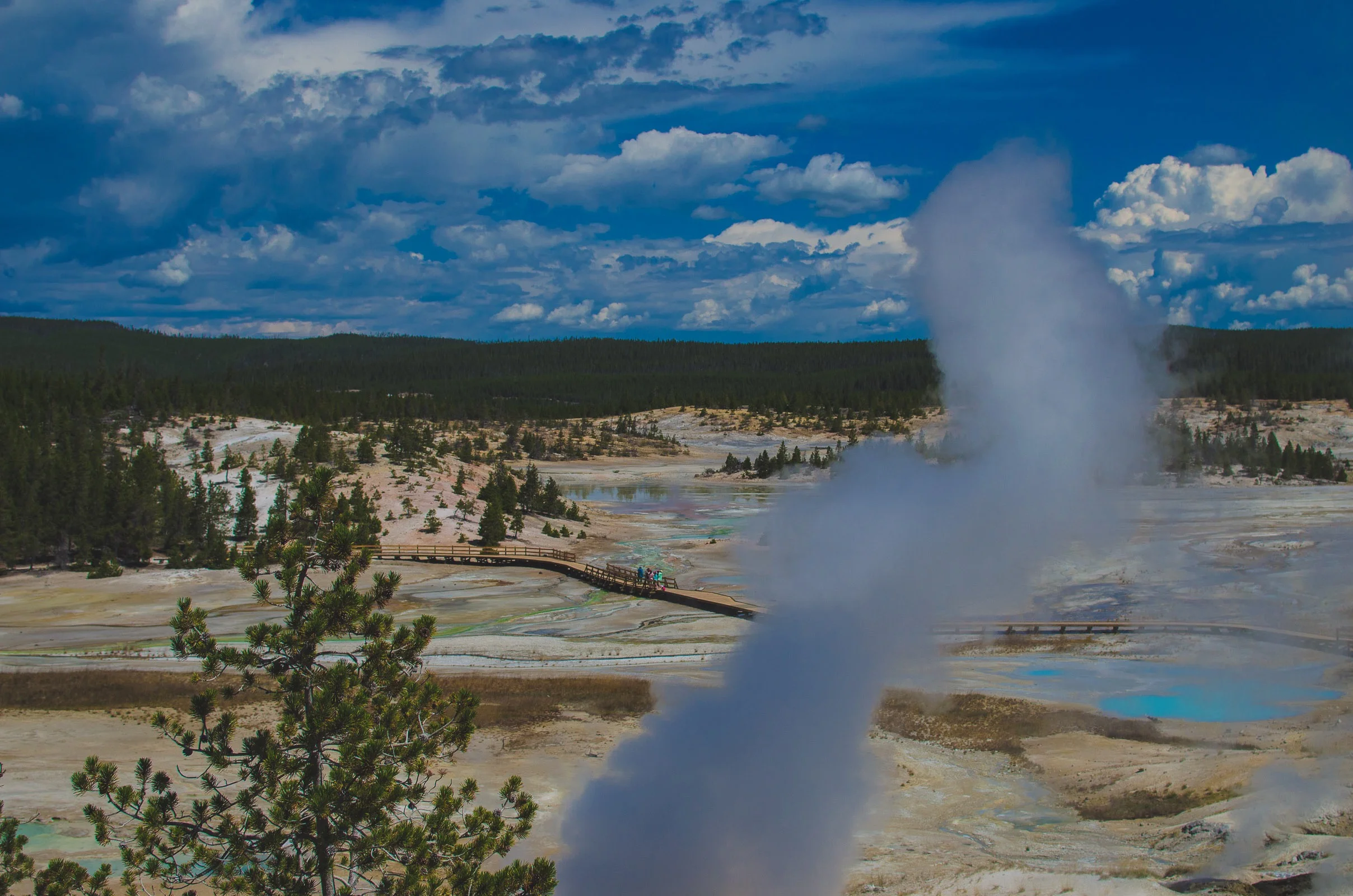 Yellowstone Trip-64.jpg