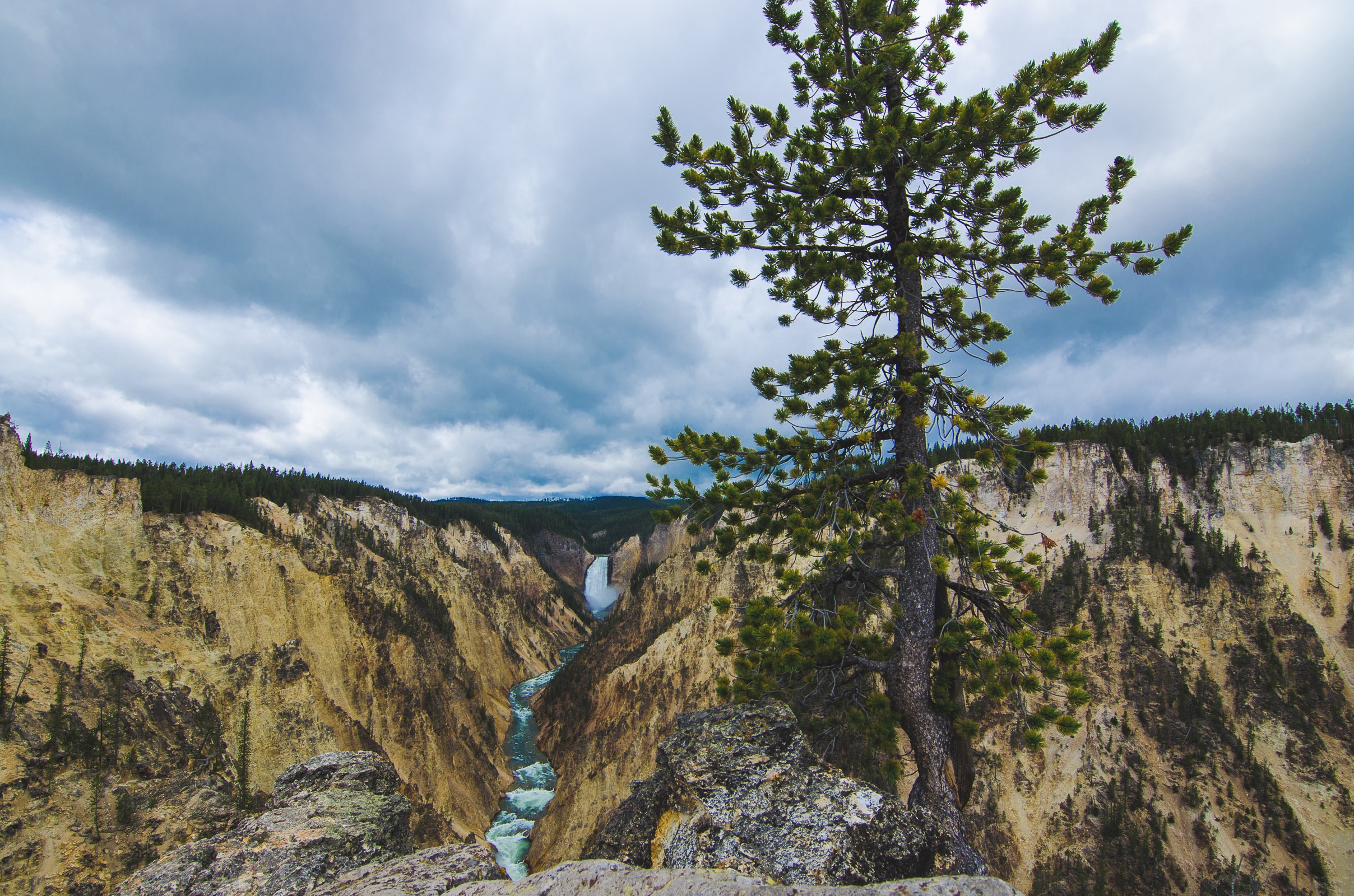 Yellowstone Trip-292.jpg