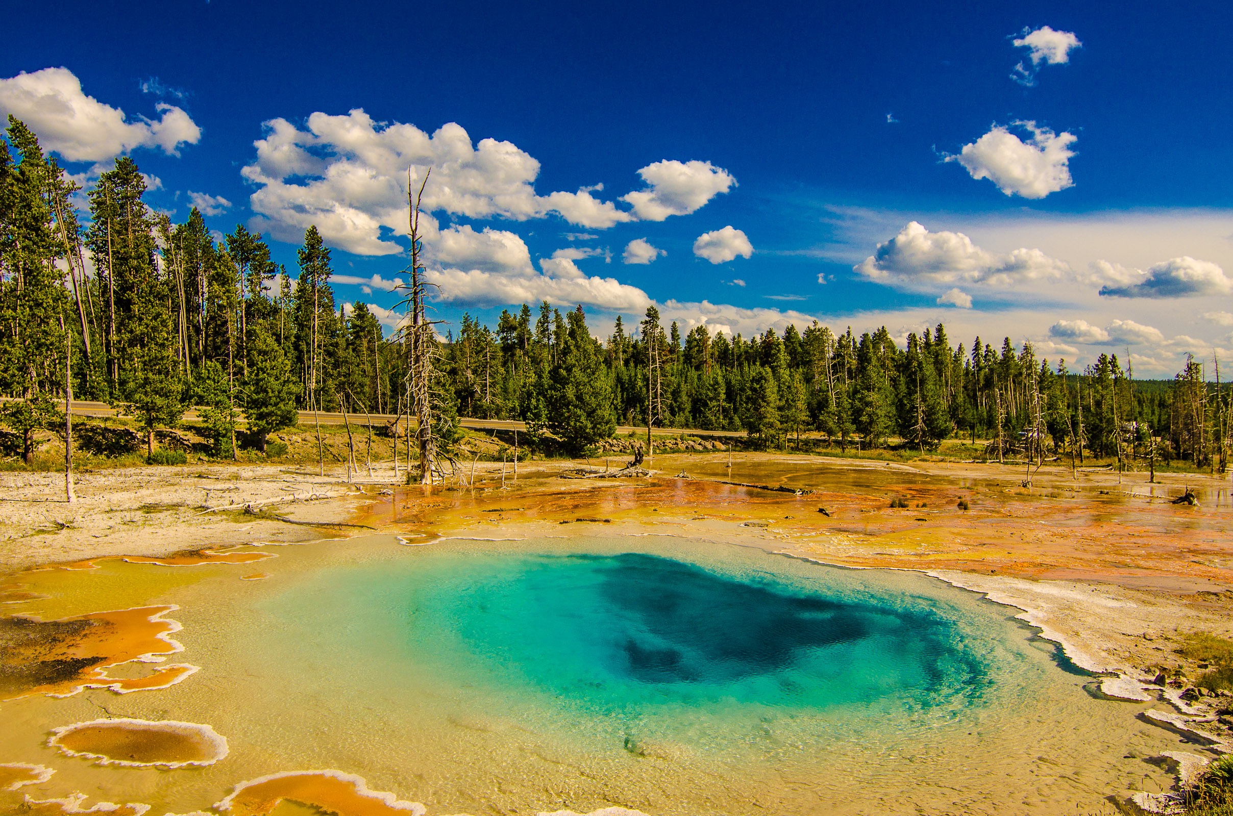 Yellowstone Trip-407.jpg