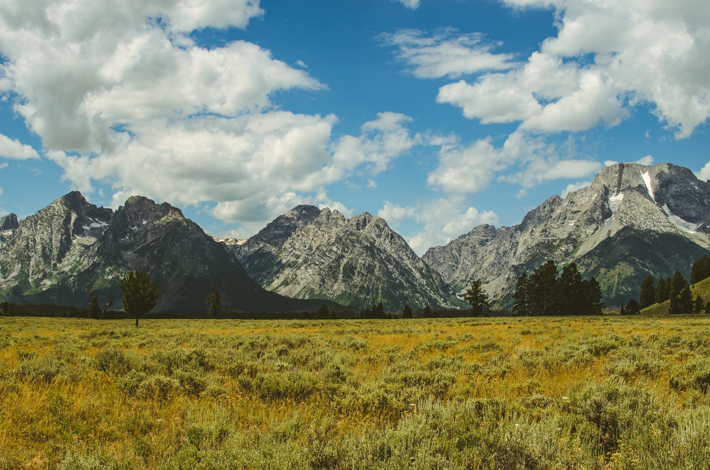 Yellowstone Trip-467.jpg