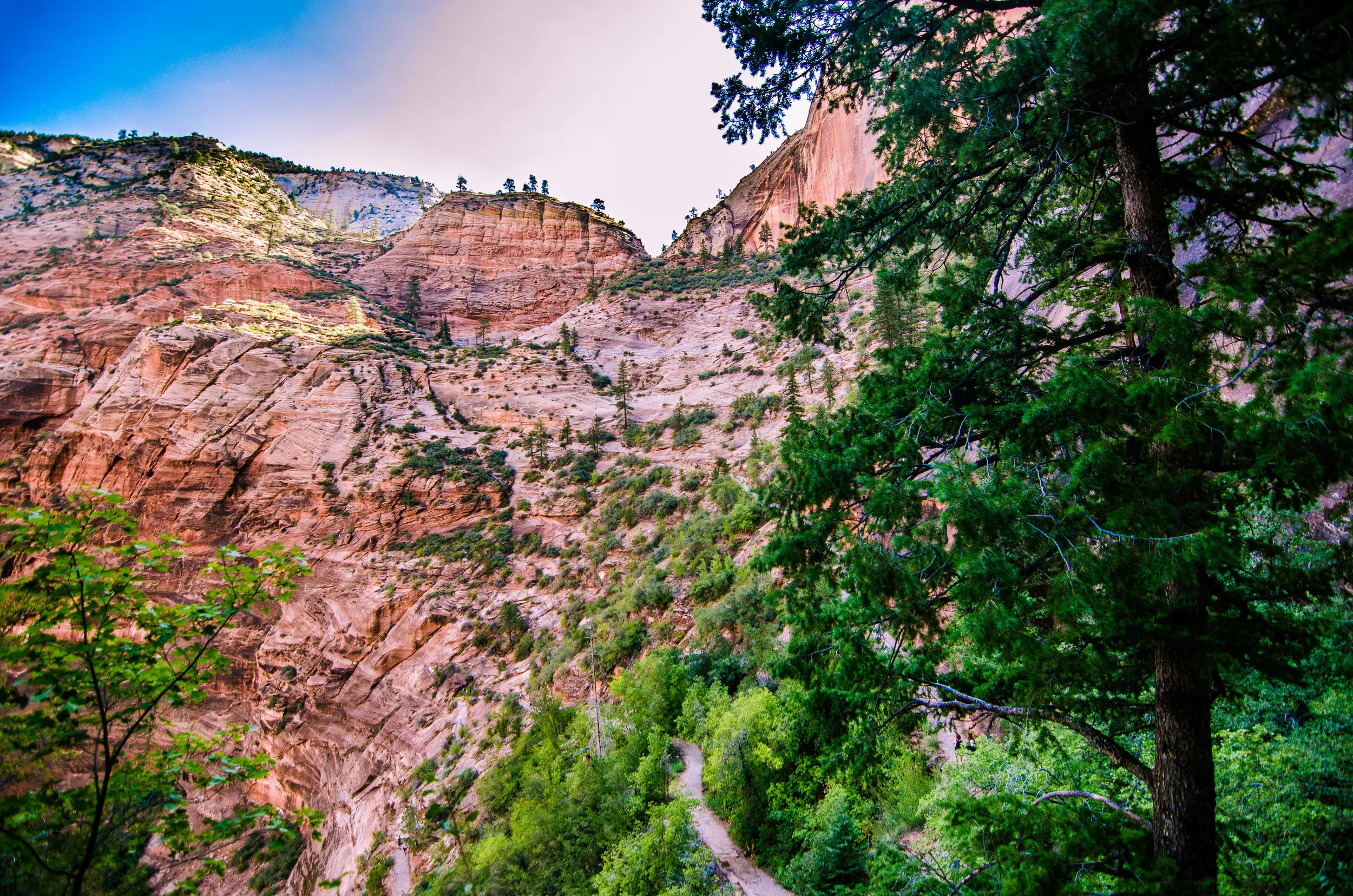 The Mighty Five — Cody Crigger