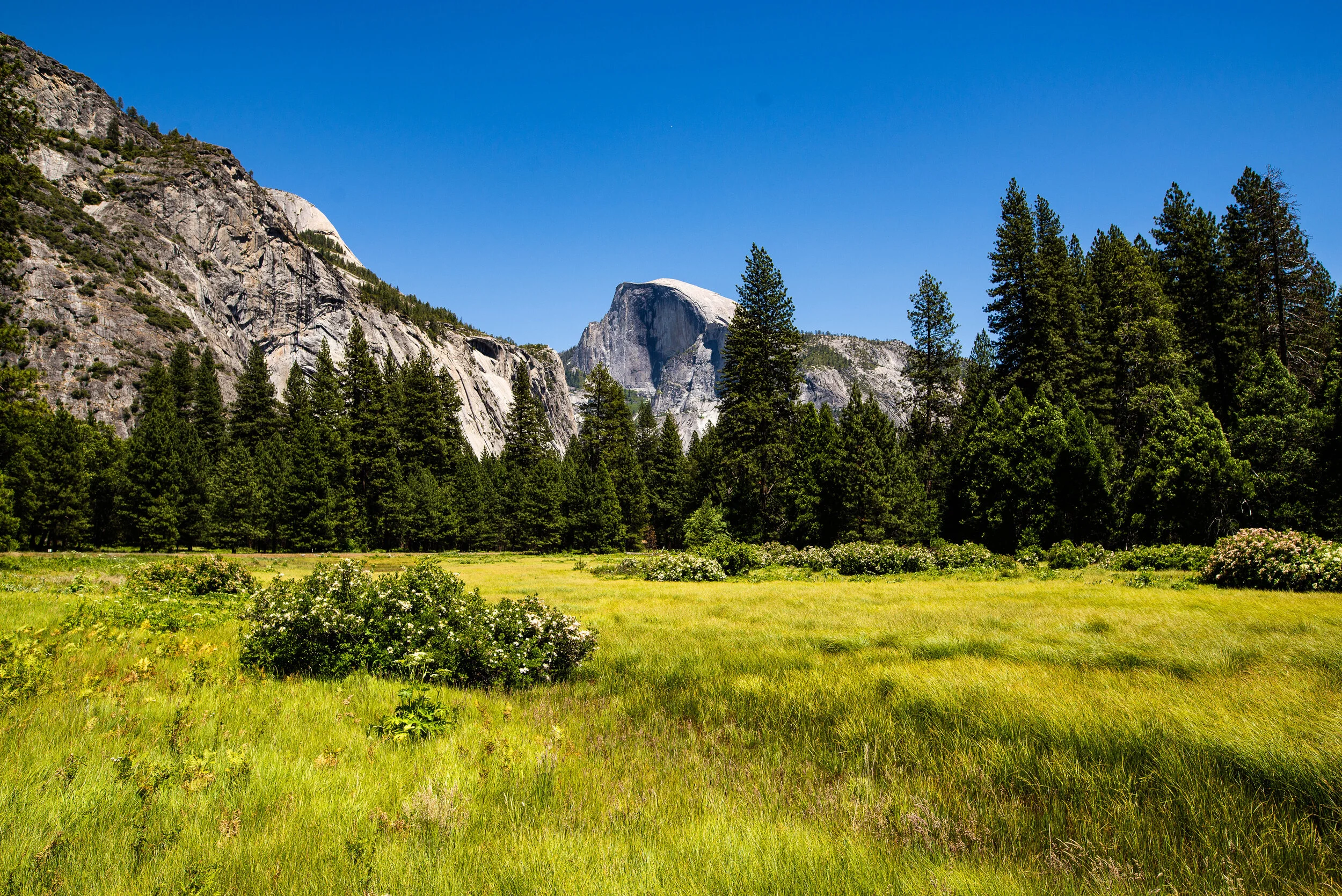 California — Cody Crigger