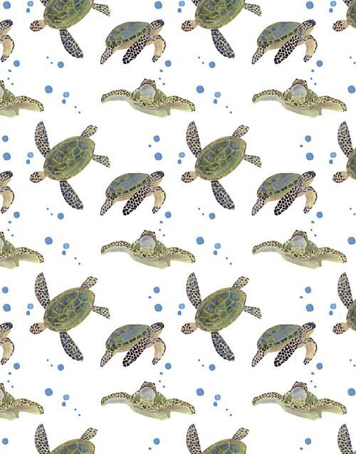 betsey-hodson-turtles.jpeg