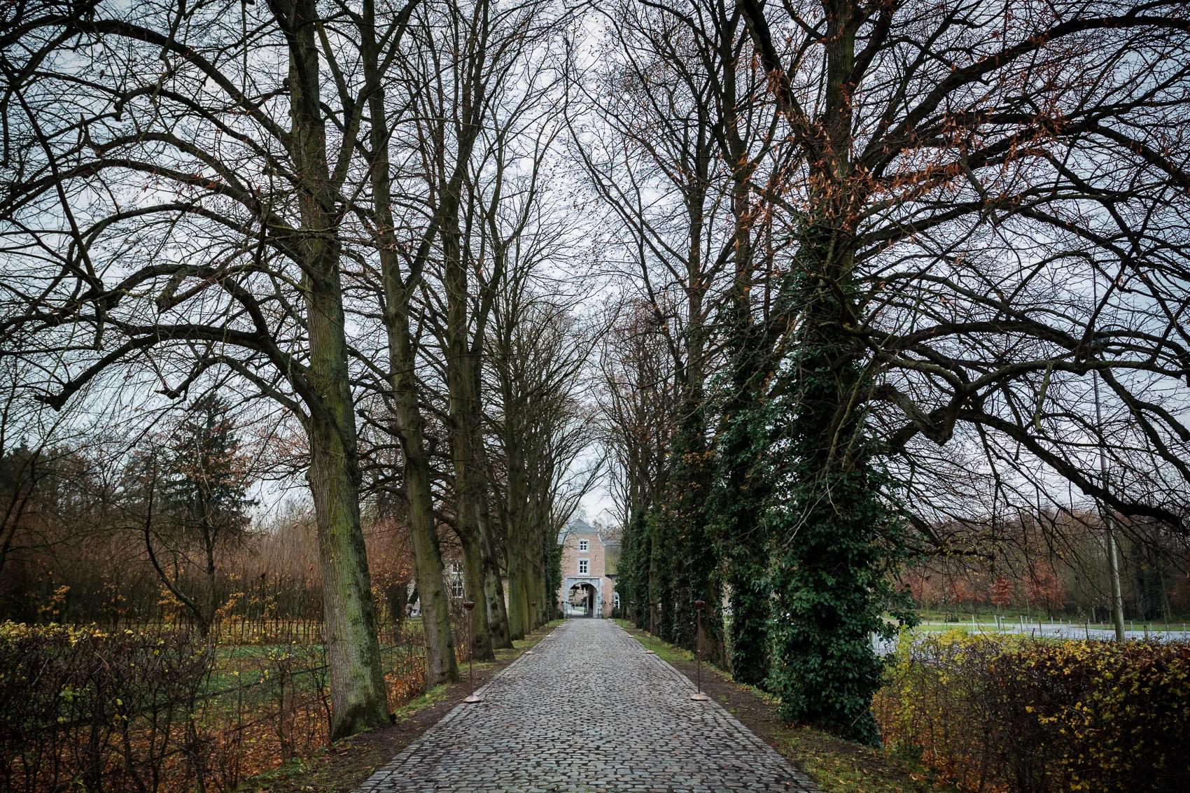 iso800 - Carolien & Jens-180.jpg