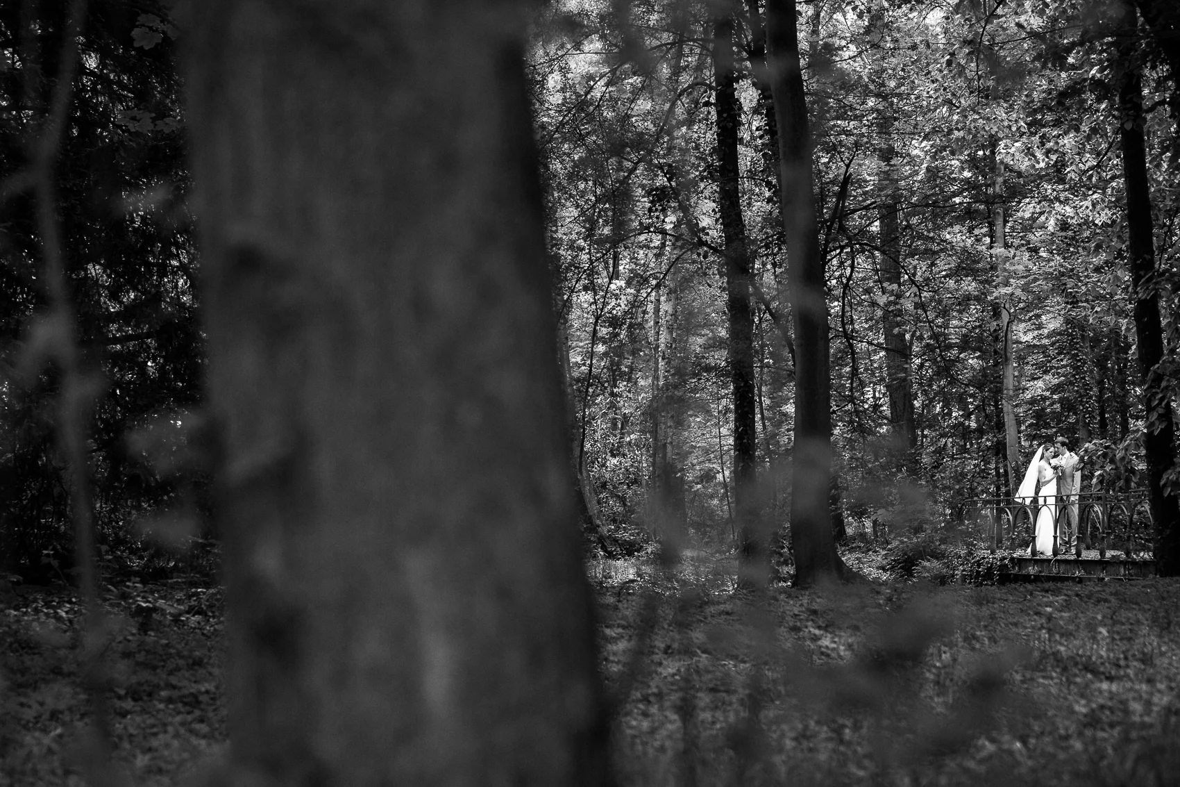 huwelijksfotograaf huwelijksfotografie trouwfotograaf trouwfotografie iso800 video huwelijksvideo trouwvideo trouwfilm