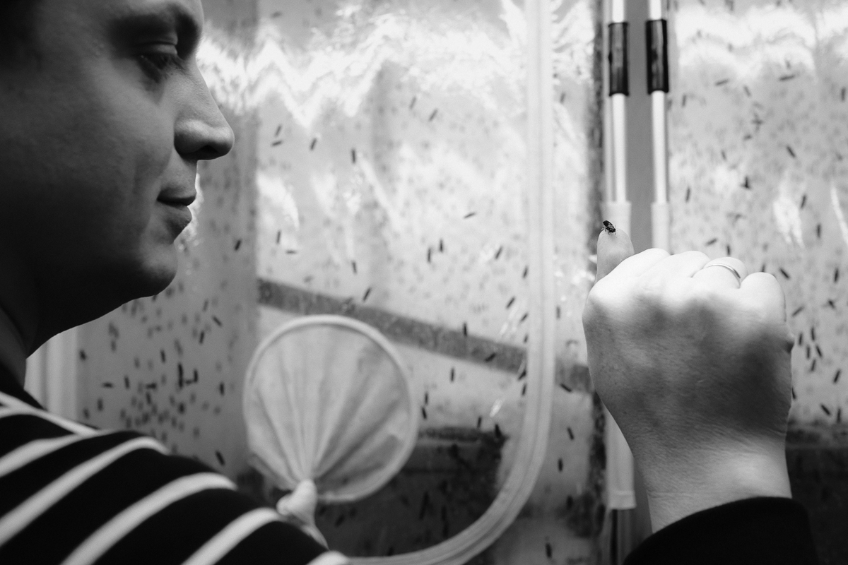 iso800 green Millibeter bedrijfsreportage kantoor Johan Jacobs portret zwarte wapenvlieg