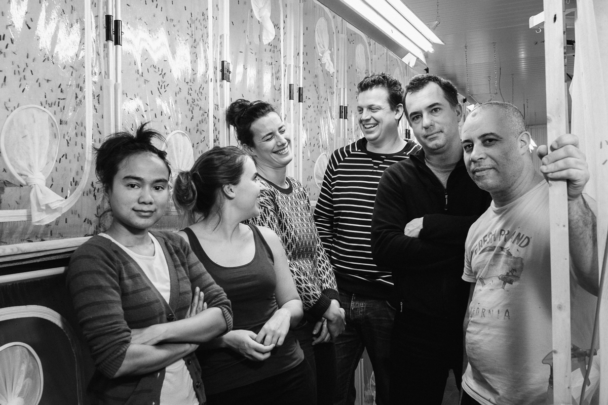 iso800 green Millibeter bedrijfsreportage kantoor team Aartselaar